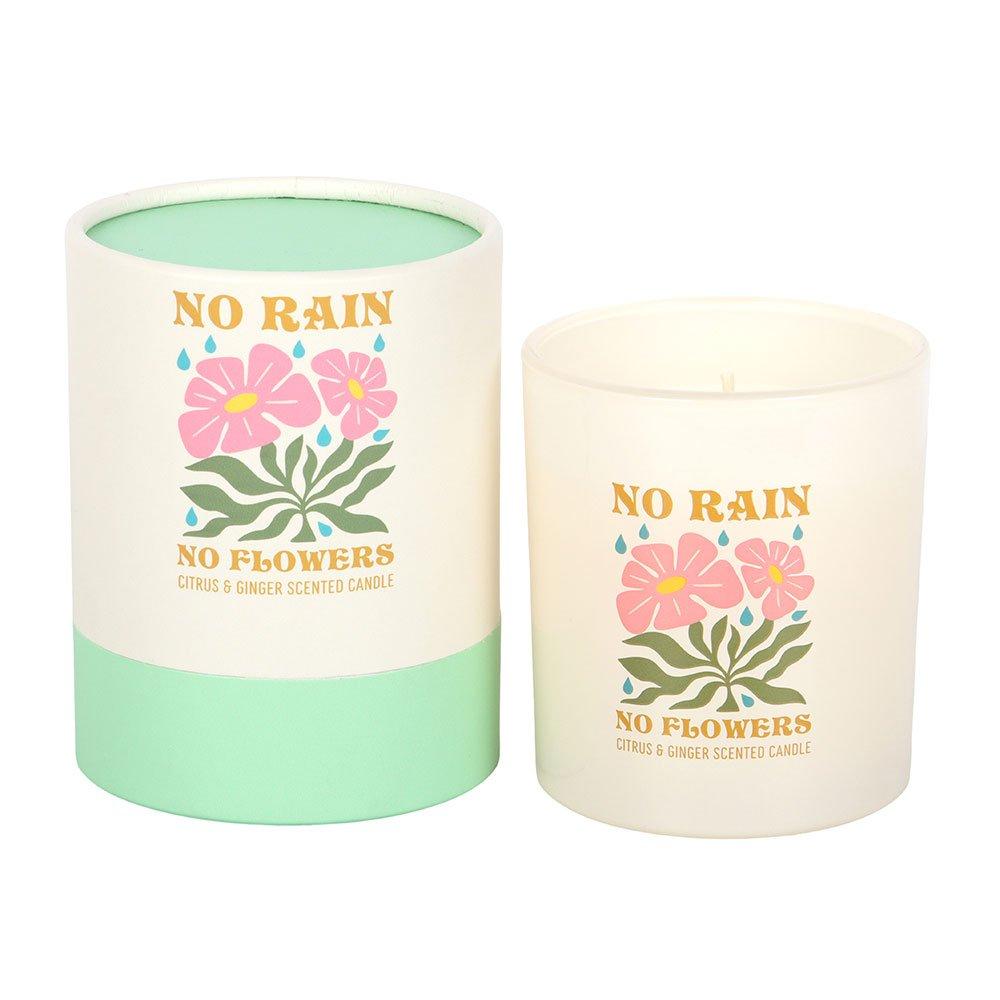 White - Something Different - No Rain No Flowers Citrus & Ginger Candle - 2