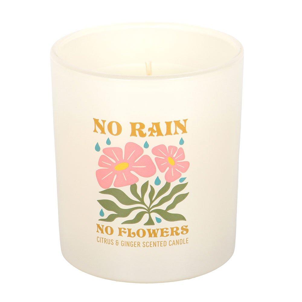 White - Something Different - No Rain No Flowers Citrus & Ginger Candle - 3
