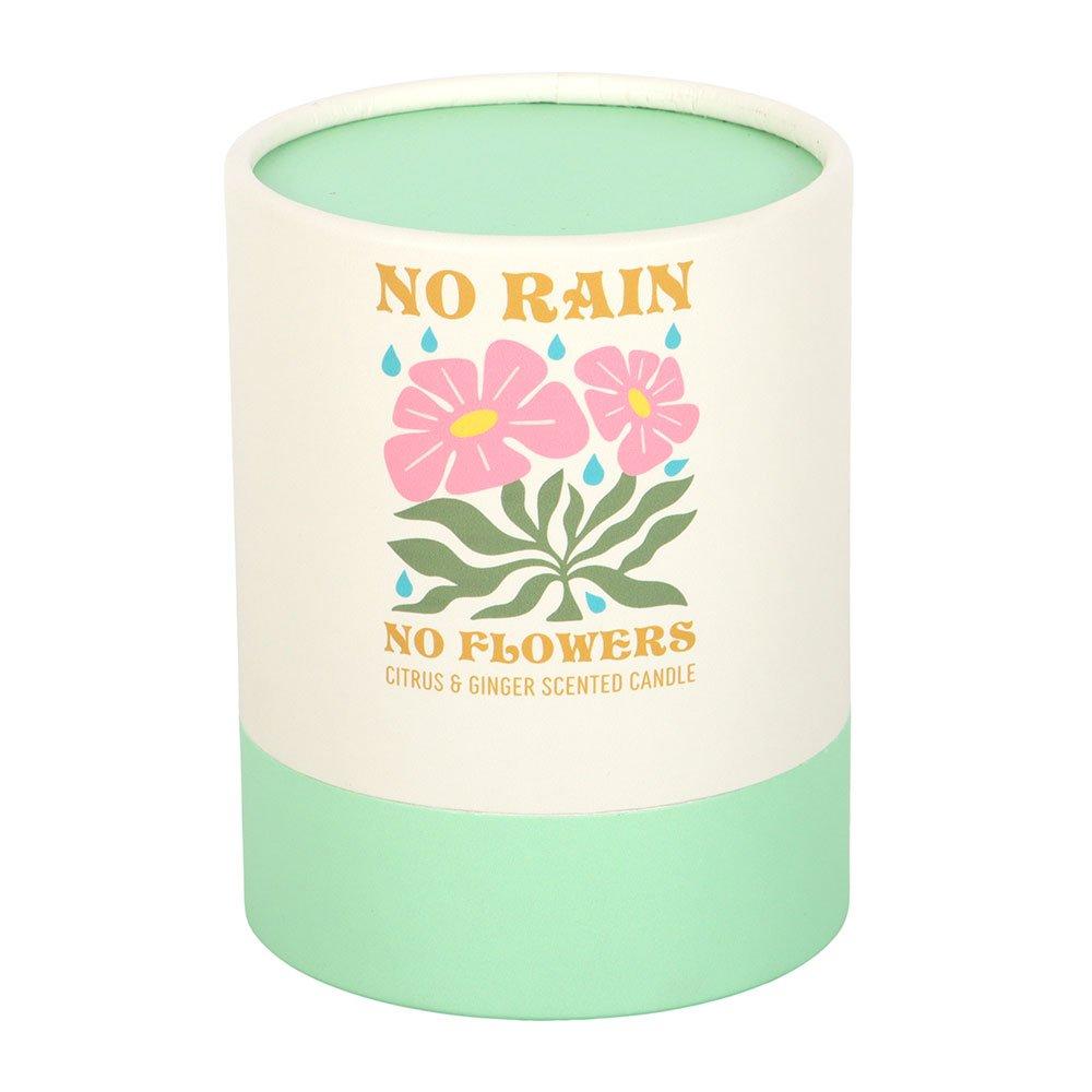 White - Something Different - No Rain No Flowers Citrus & Ginger Candle - 4