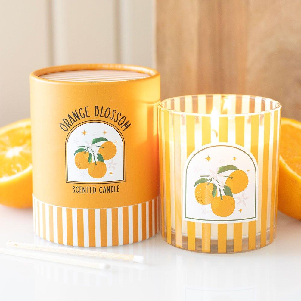 Orange - Something Different - Orange Blossom Scented Candle - 1