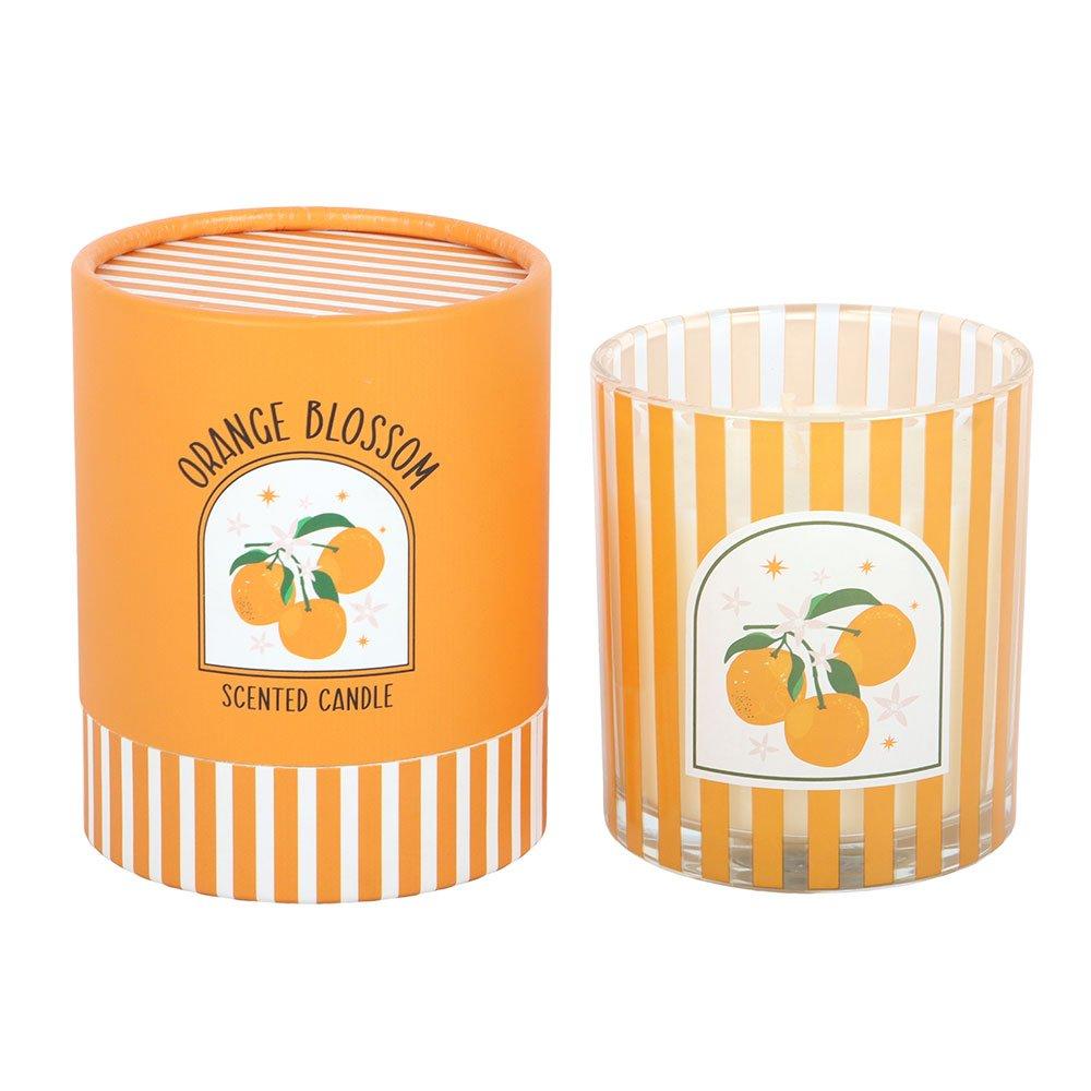 Orange - Something Different - Orange Blossom Scented Candle - 2