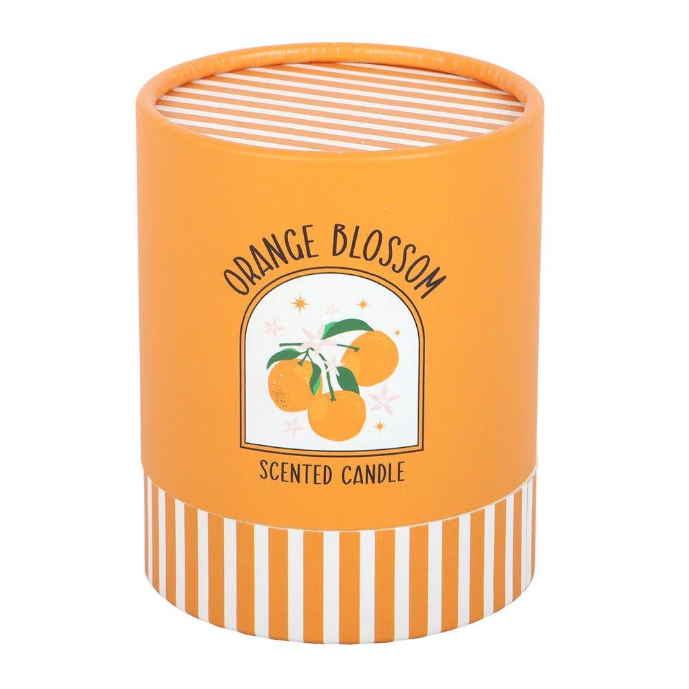 Orange - Something Different - Orange Blossom Scented Candle - 4