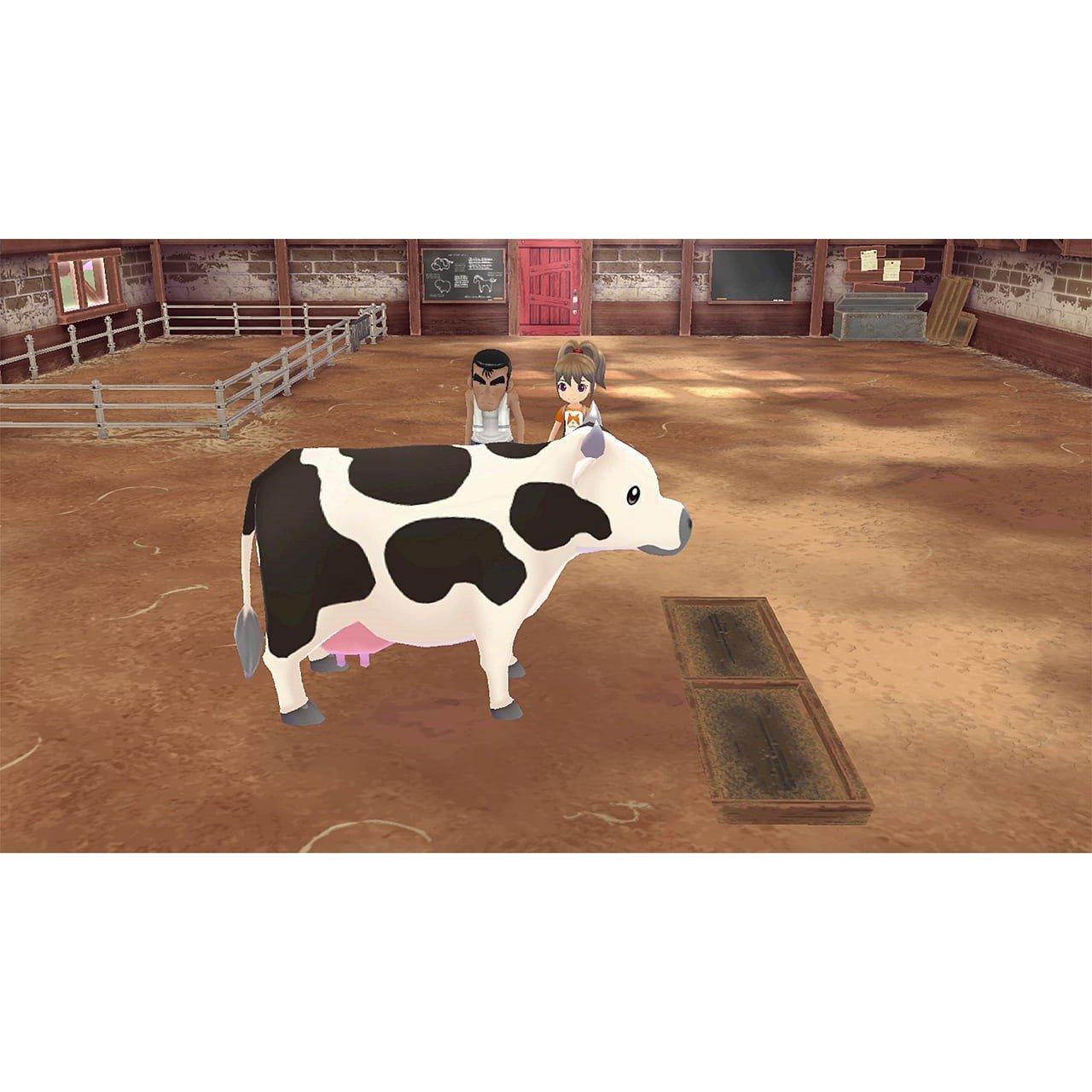 Xbox Series - Marvelous Games - Story of Seasons: A Wonderful Life - 5