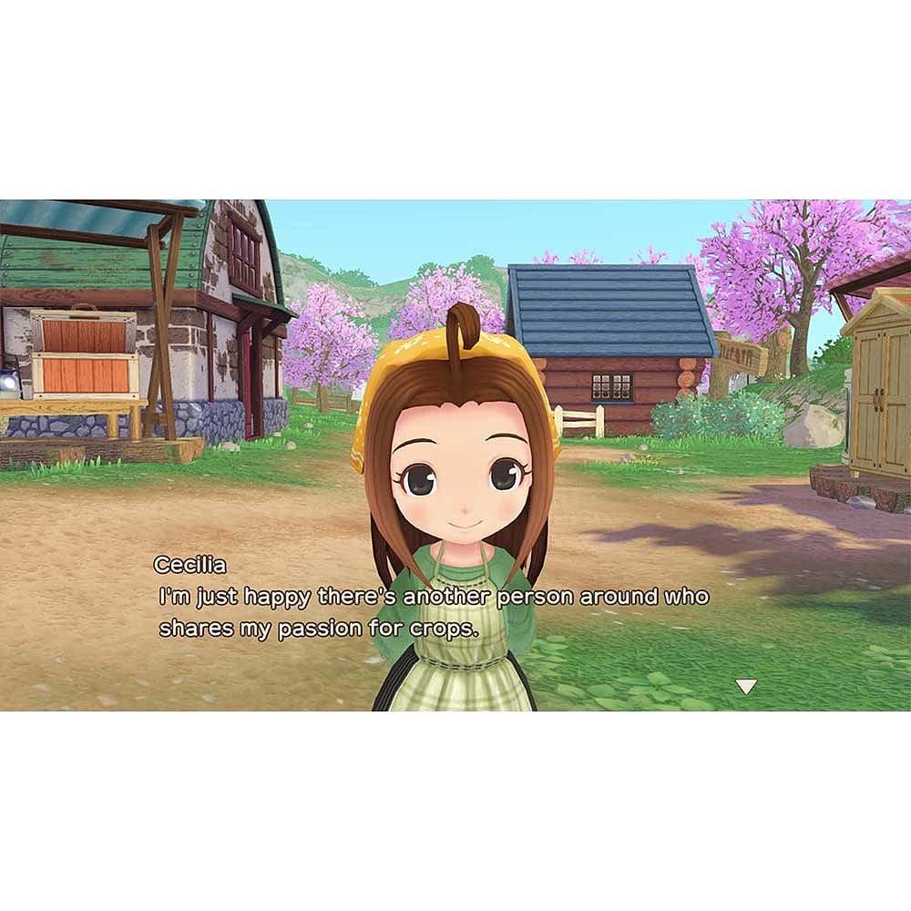 Nintendo Switch - Marvelous Games - Story of Seasons: A Wonderful Life - 6