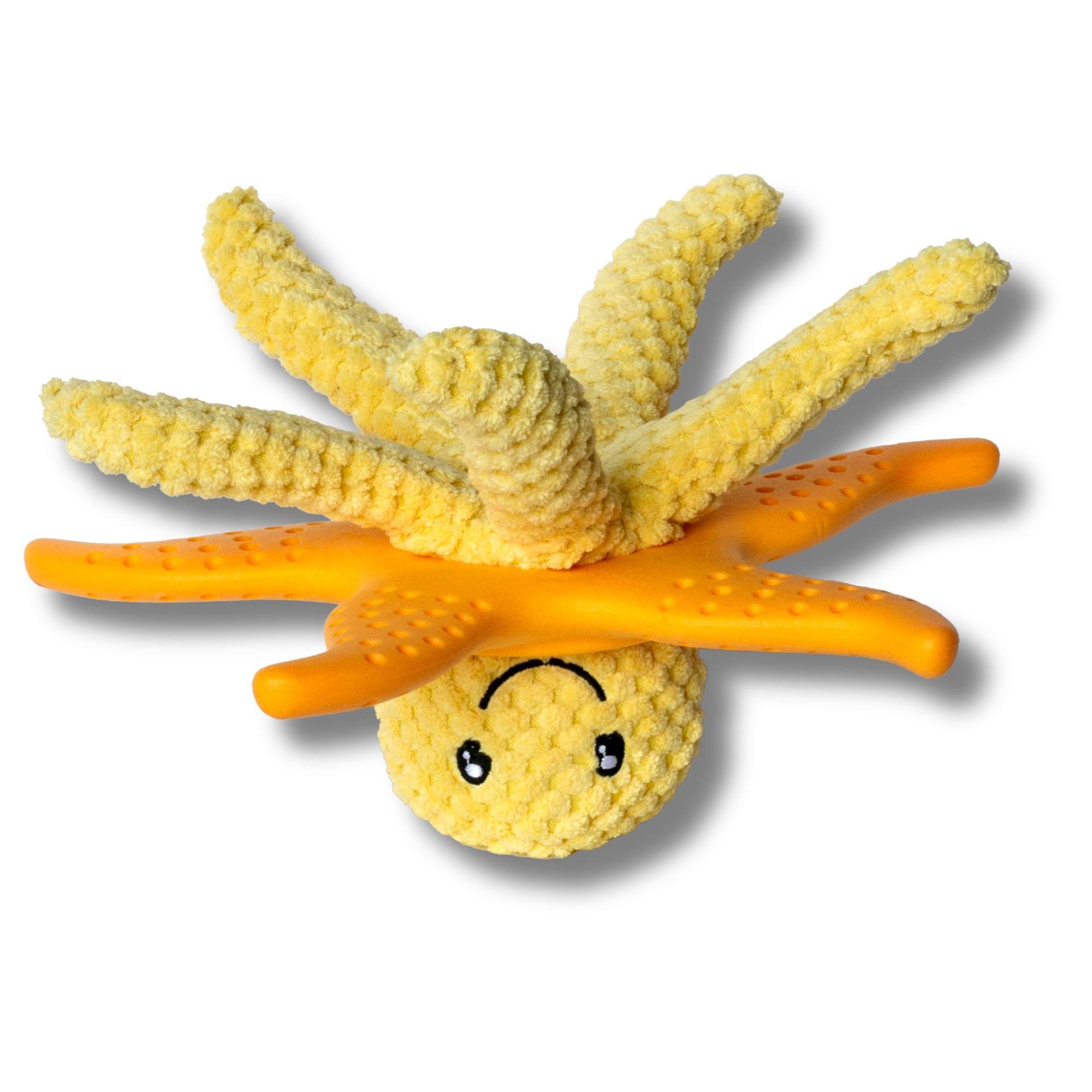 Orange - Kiwi Walker - Lets Play Orange Octopus & Starfish - 4