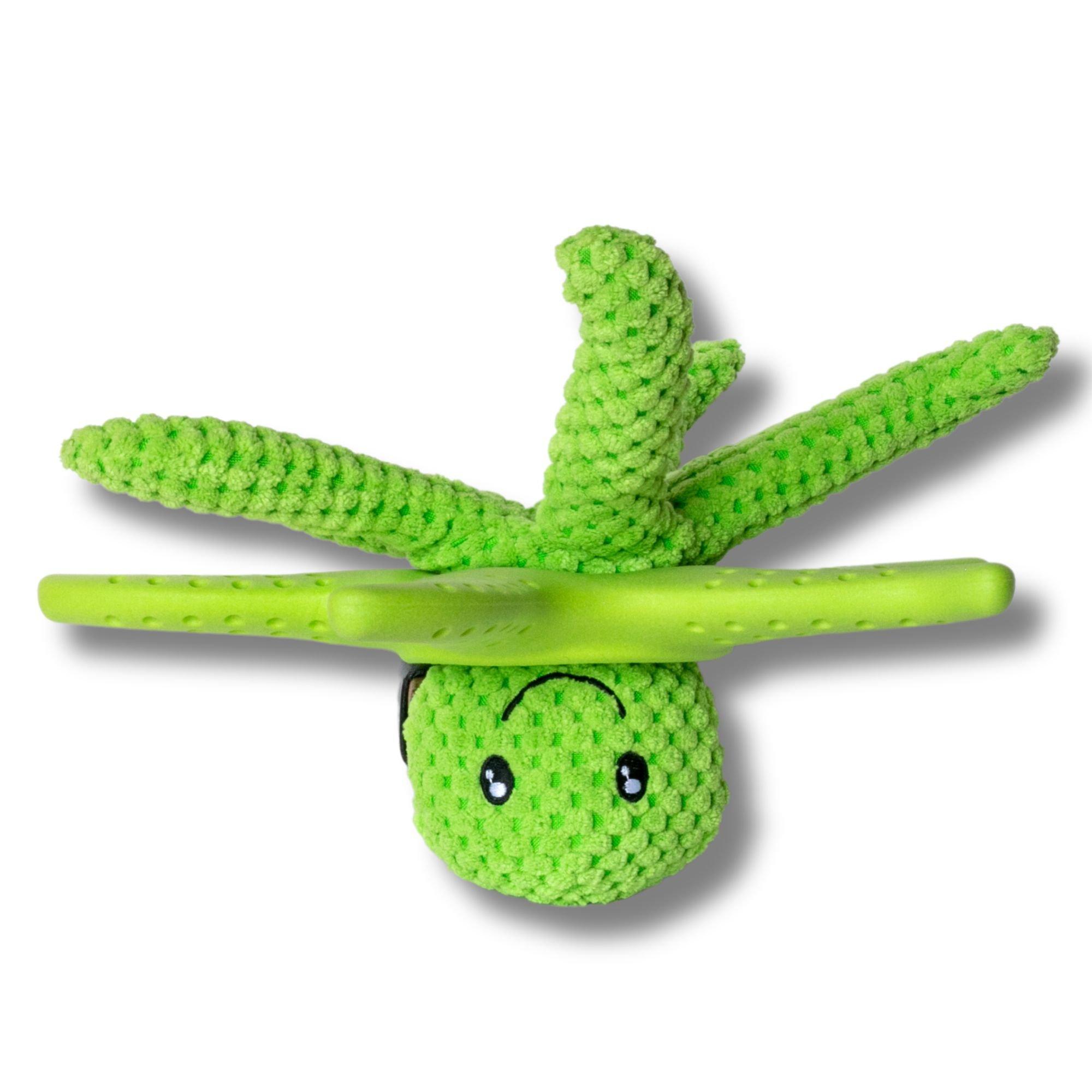 Green - Kiwi Walker - Lets Play Green Octopus & Starfish - 5