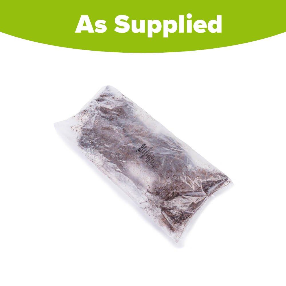 Multi - YouGarden - Astilbe Plum Bouquet Mix (5 Bare Roots) - 2