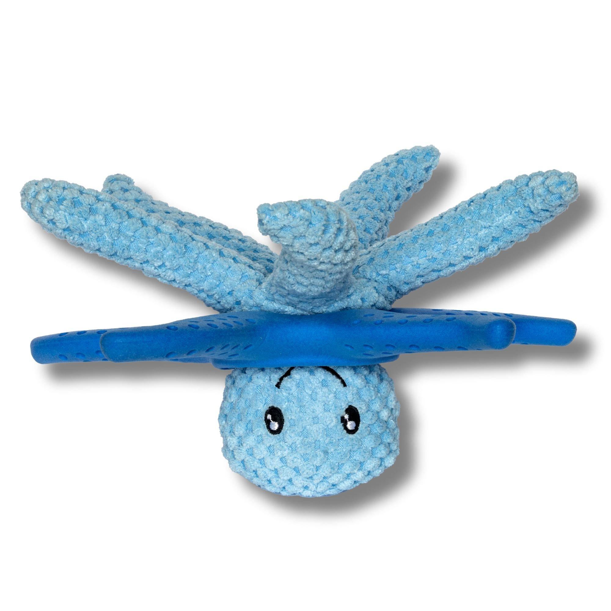 Blue - Kiwi Walker - Lets Play Blue Octopus & Starfish - 4