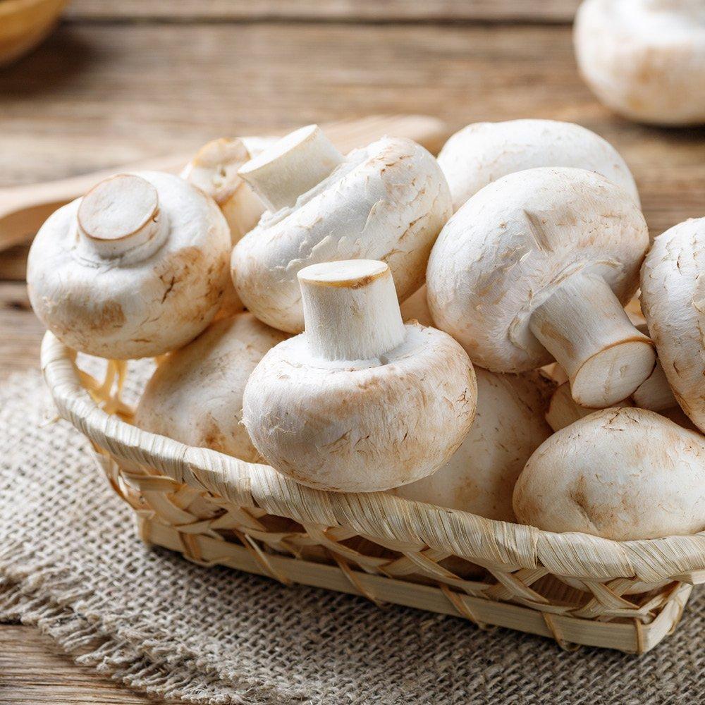 Multi - YouGarden - White Mushrooms 3 Litre - 1