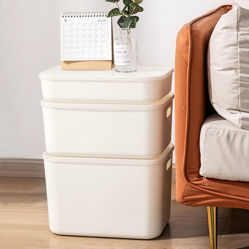 White2 - LIFE IDEAS - 2/4pcs Plastic Storage Tray - 8