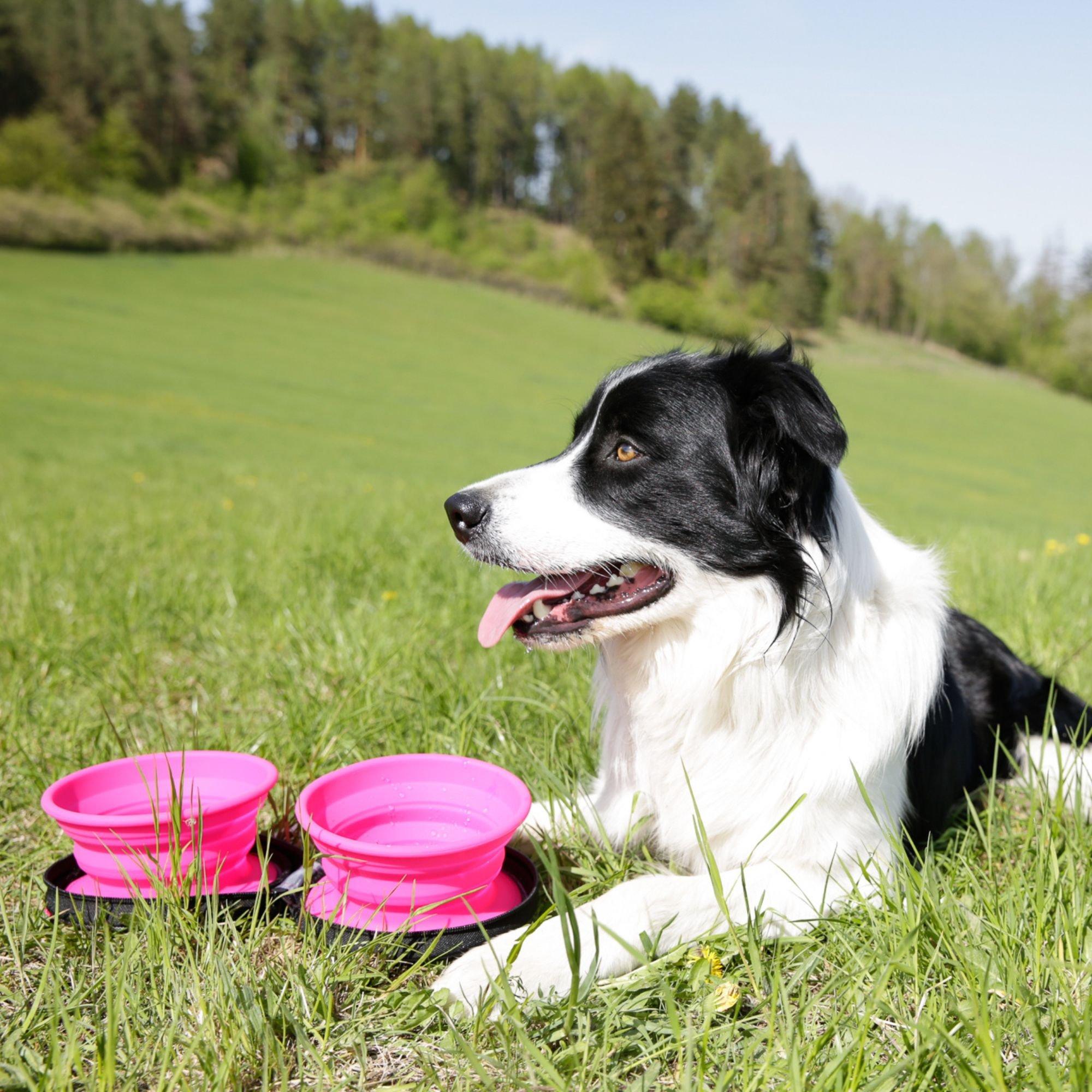 Pink - Kiwi Walker - Double Travel Bowl With Slow Feeder - 2