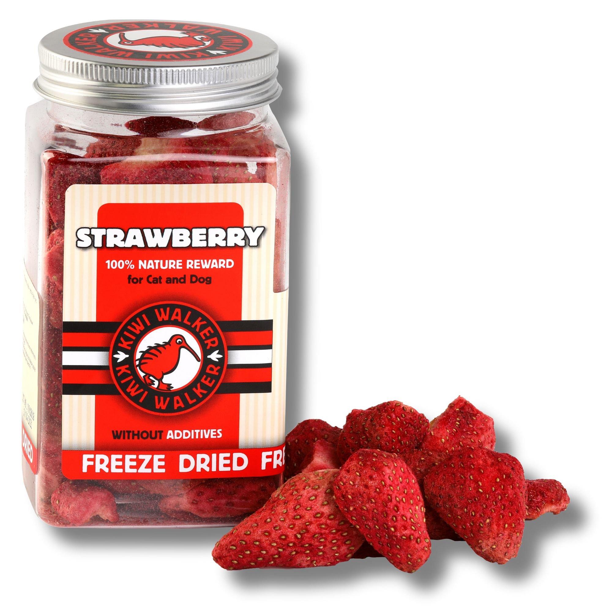Multi - Kiwi Walker - Freeze Dried Kiwi And Strawberry Treats - 3