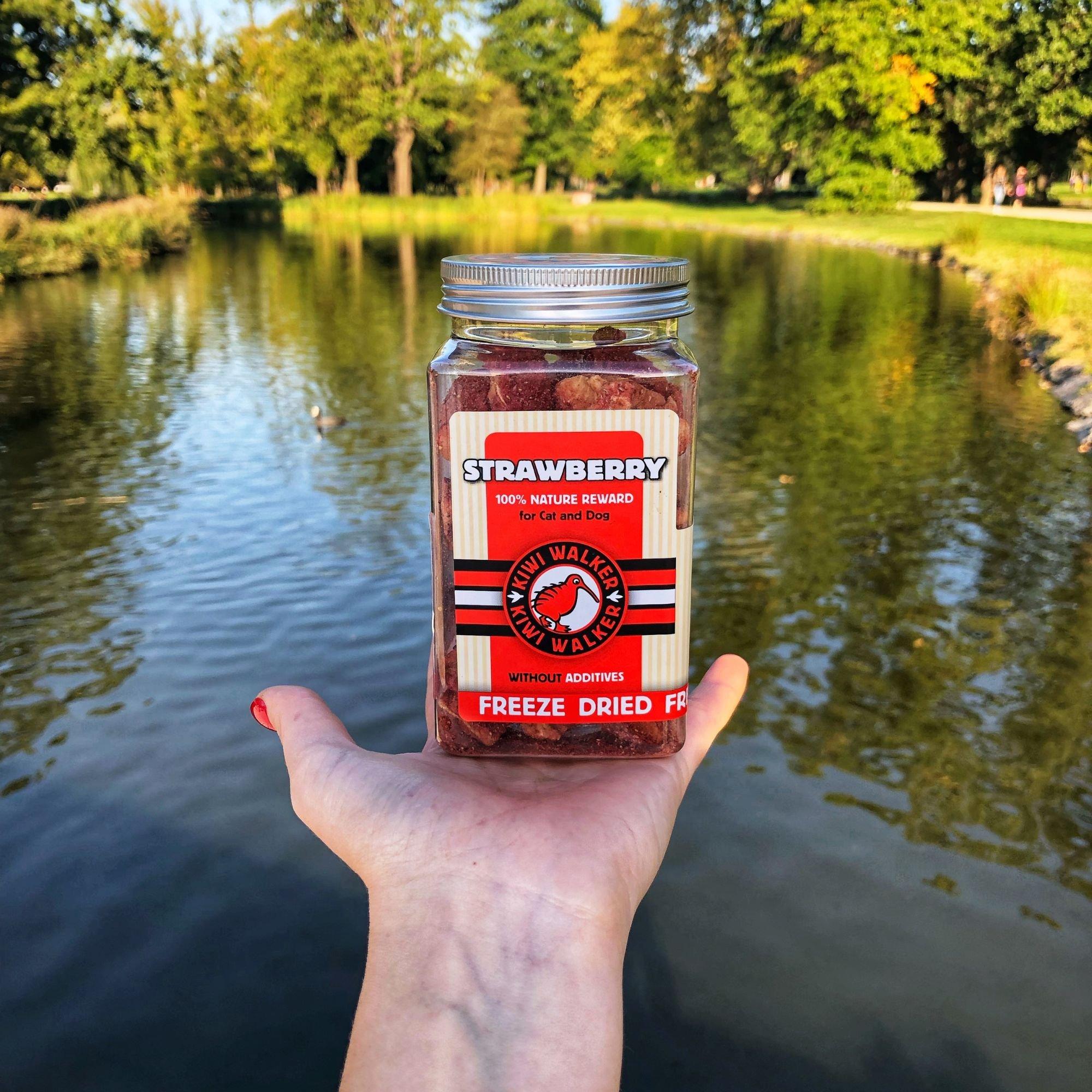 Multi - Kiwi Walker - Freeze Dried Kiwi And Strawberry Treats - 5