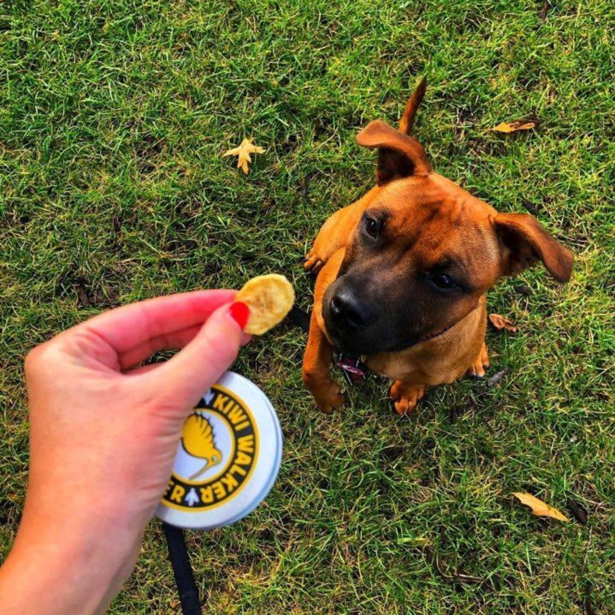 Multi - Kiwi Walker - Freeze Dried Banana And Apple - 2