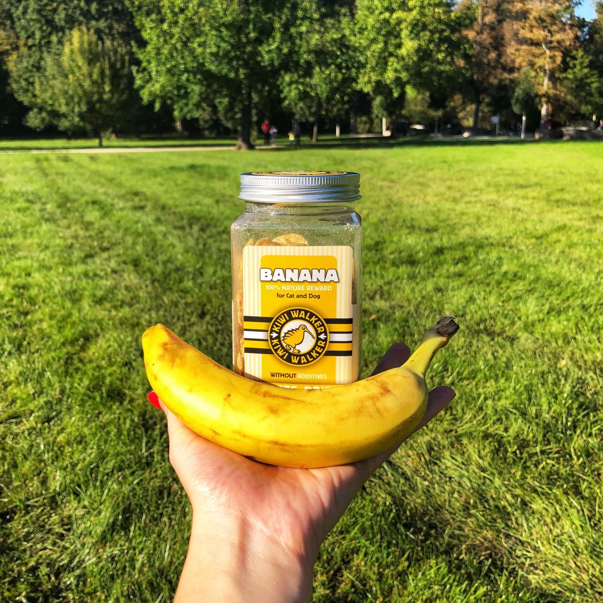 Multi - Kiwi Walker - Freeze Dried Banana And Apple - 4