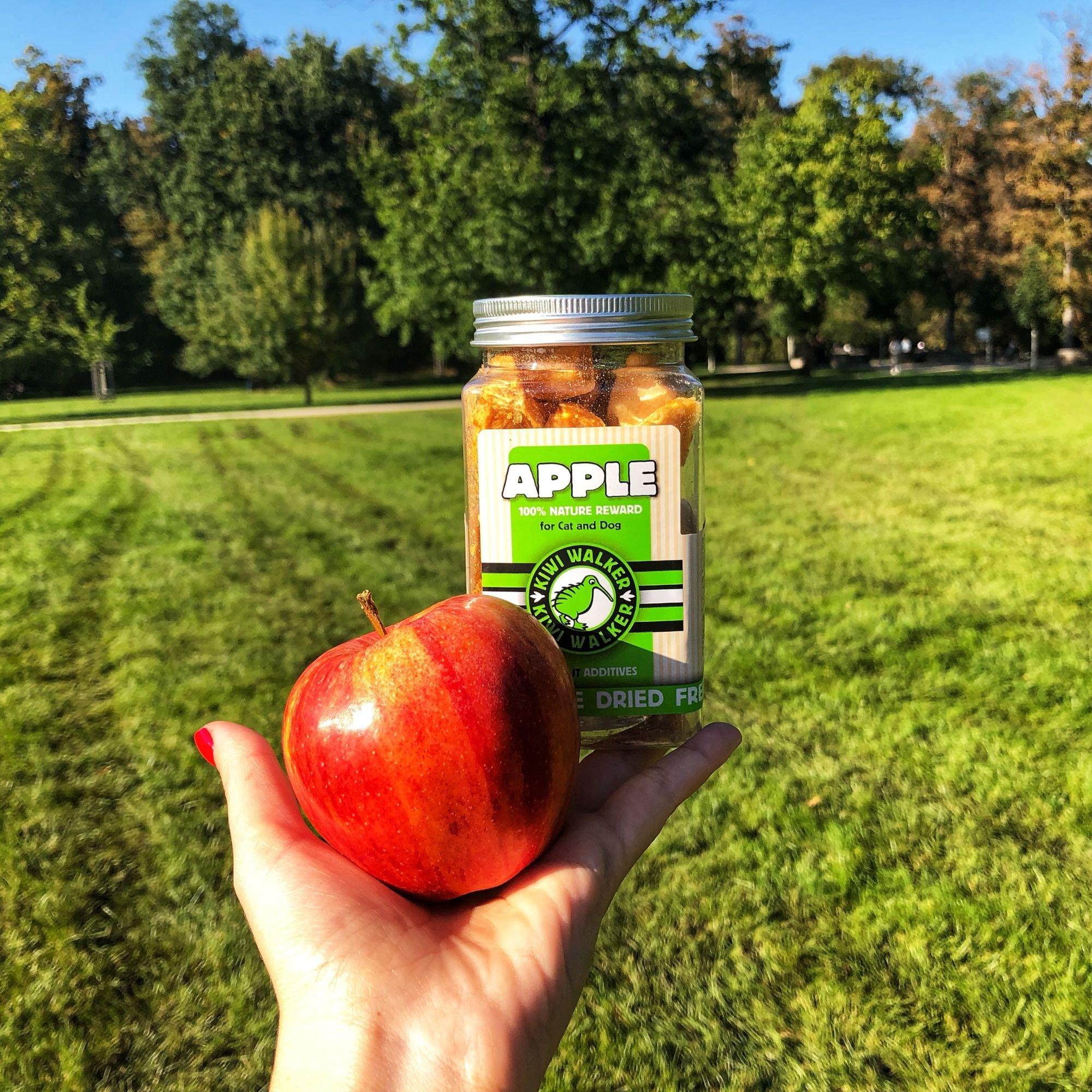 Multi - Kiwi Walker - Freeze Dried Apple And Pear treats - 3