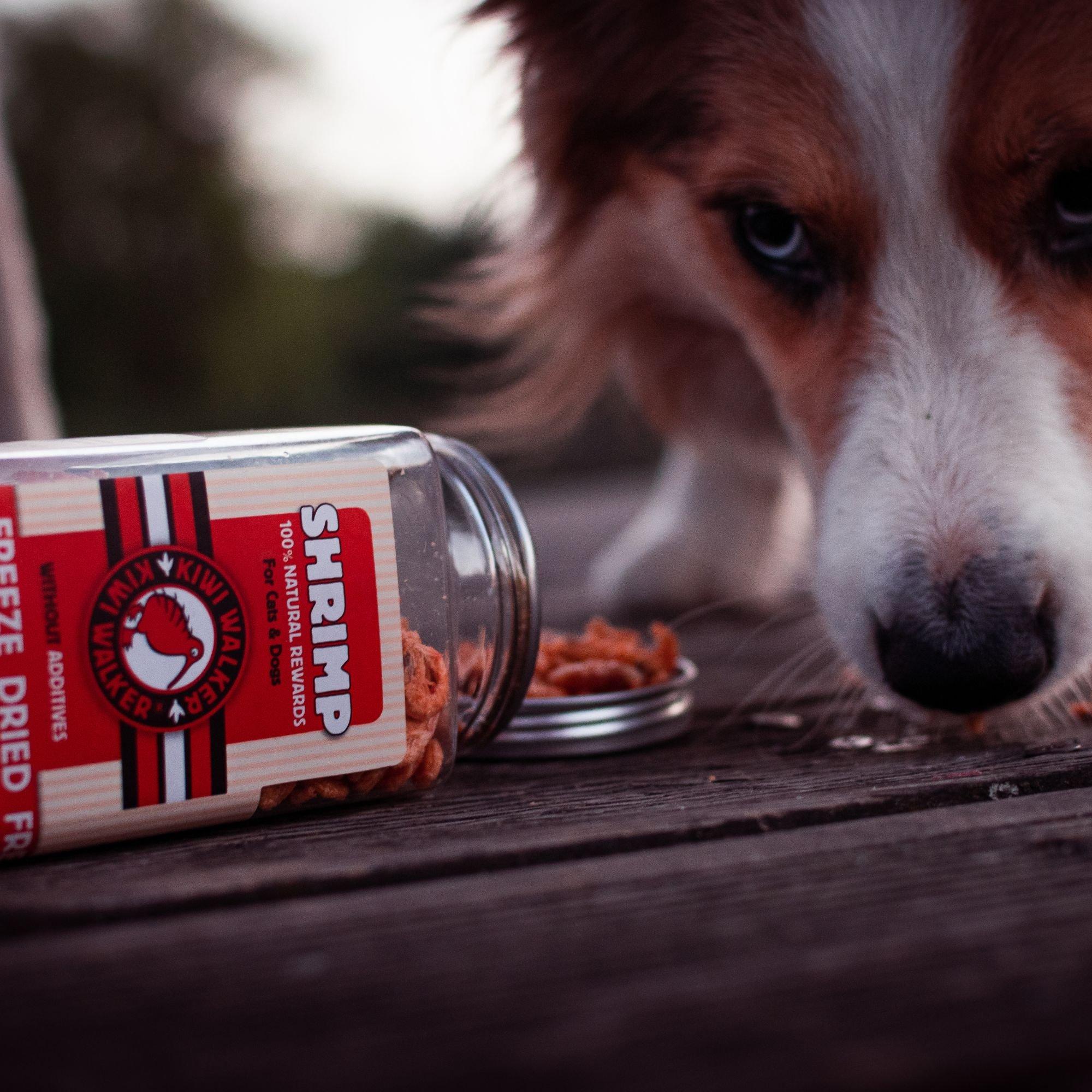 Multi - Kiwi Walker - Freeze Dried Shrimp And Tuna Treats - 3