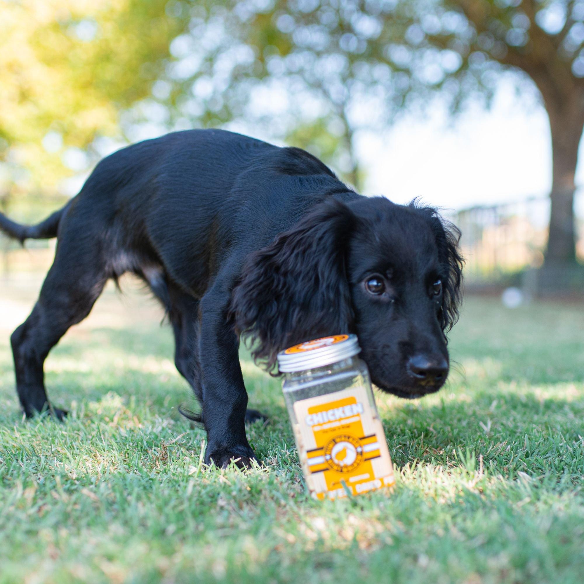 Multi - Kiwi Walker - Freeze Dried Chicken And Chicken Liver Treats - 3