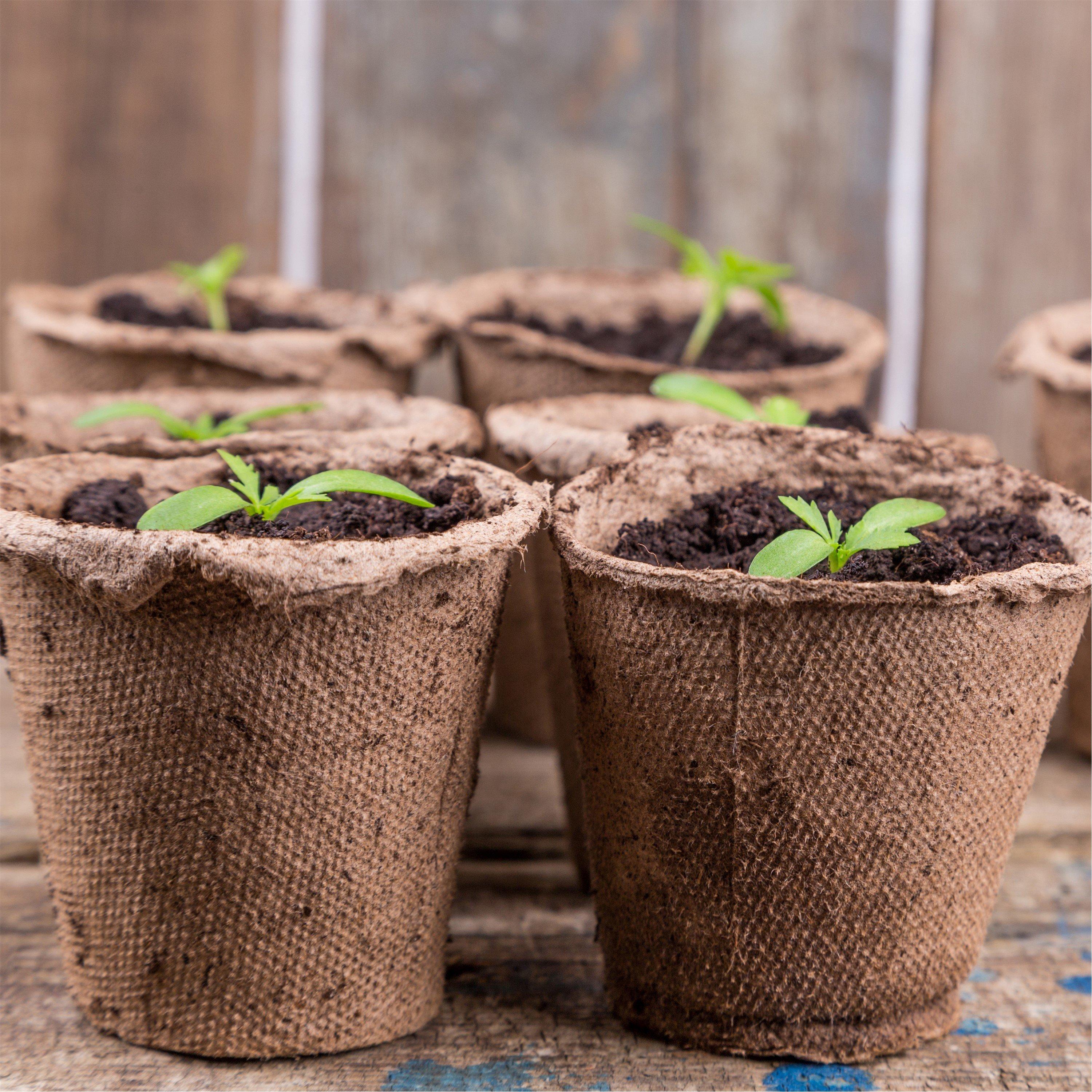 YouGarden Skelly Tray and 12 Jiffy Pots x 3 | FRASERS