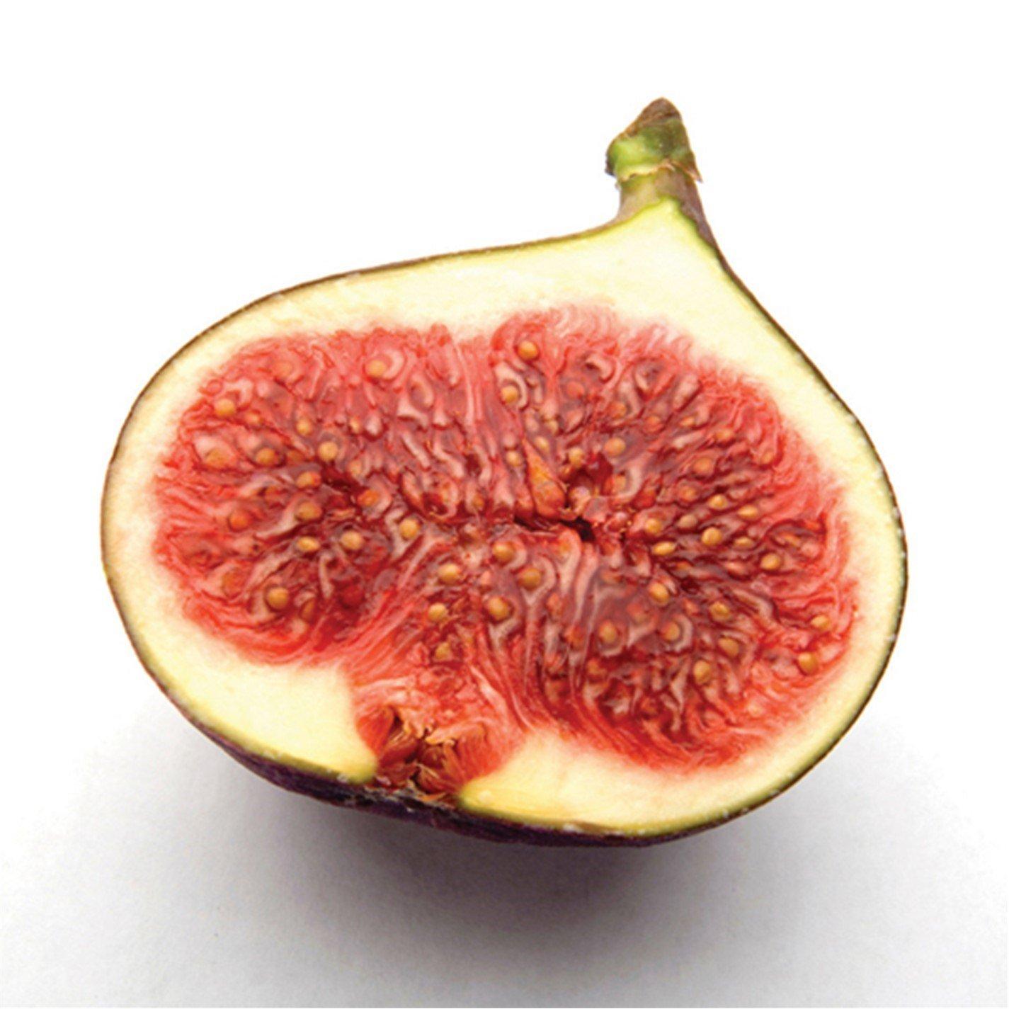 Green - YouGarden - Ficus (Fig) Brown Turkey 1.7L potted - 2