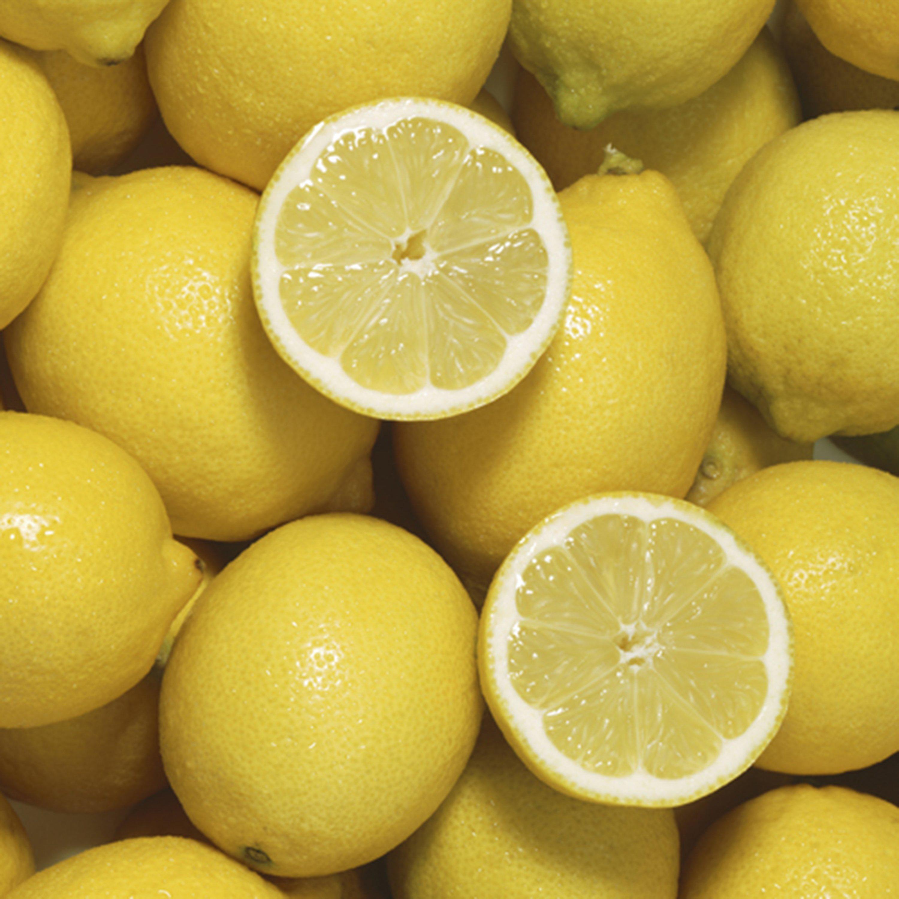 Yougarden  Citrus Lemon 4/5L - Green - 4L Pot