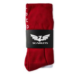 Castore Scarlets Rugby Socks Mens