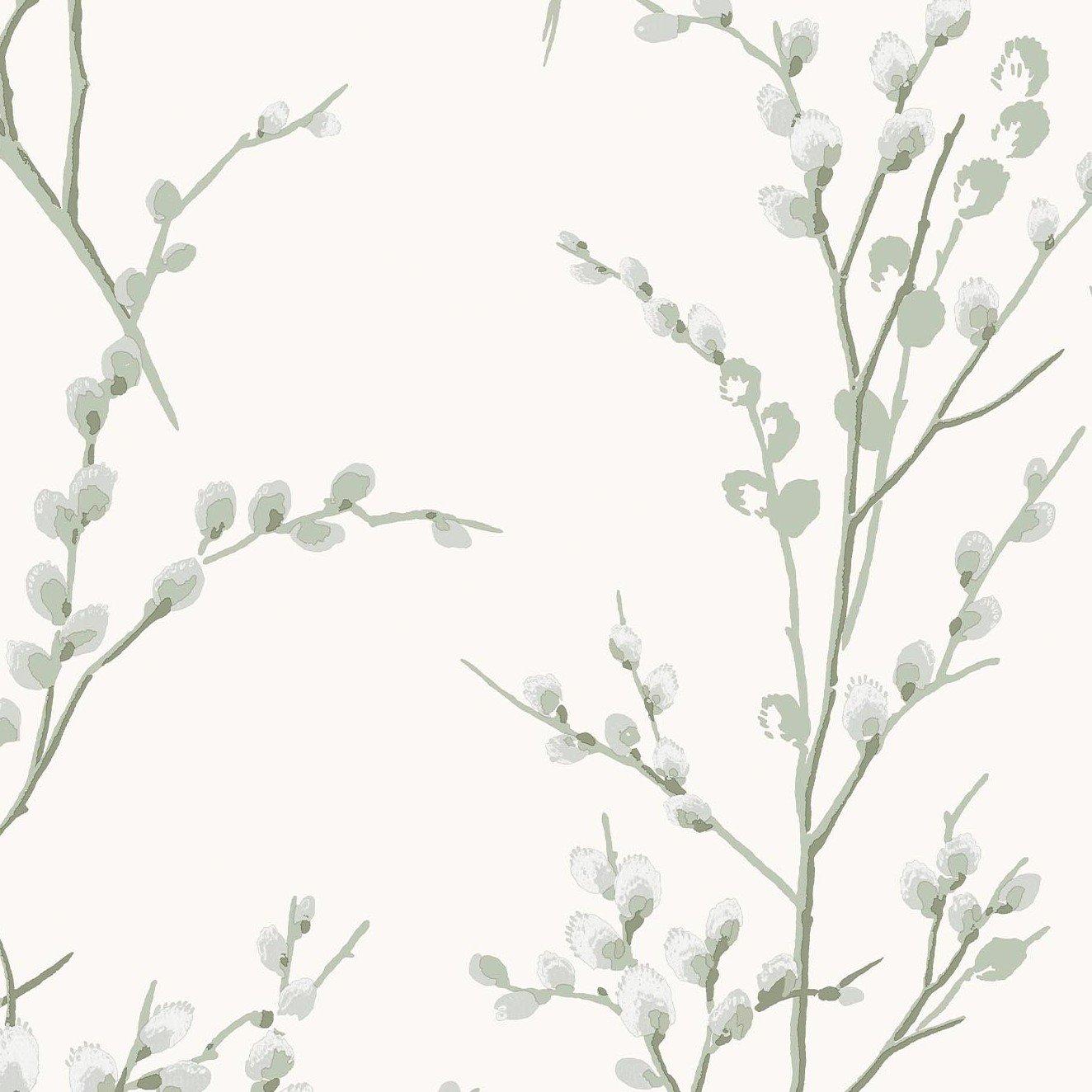 Green - Laura Ashley - Pussy Willow Sage Green Wallpaper - 3