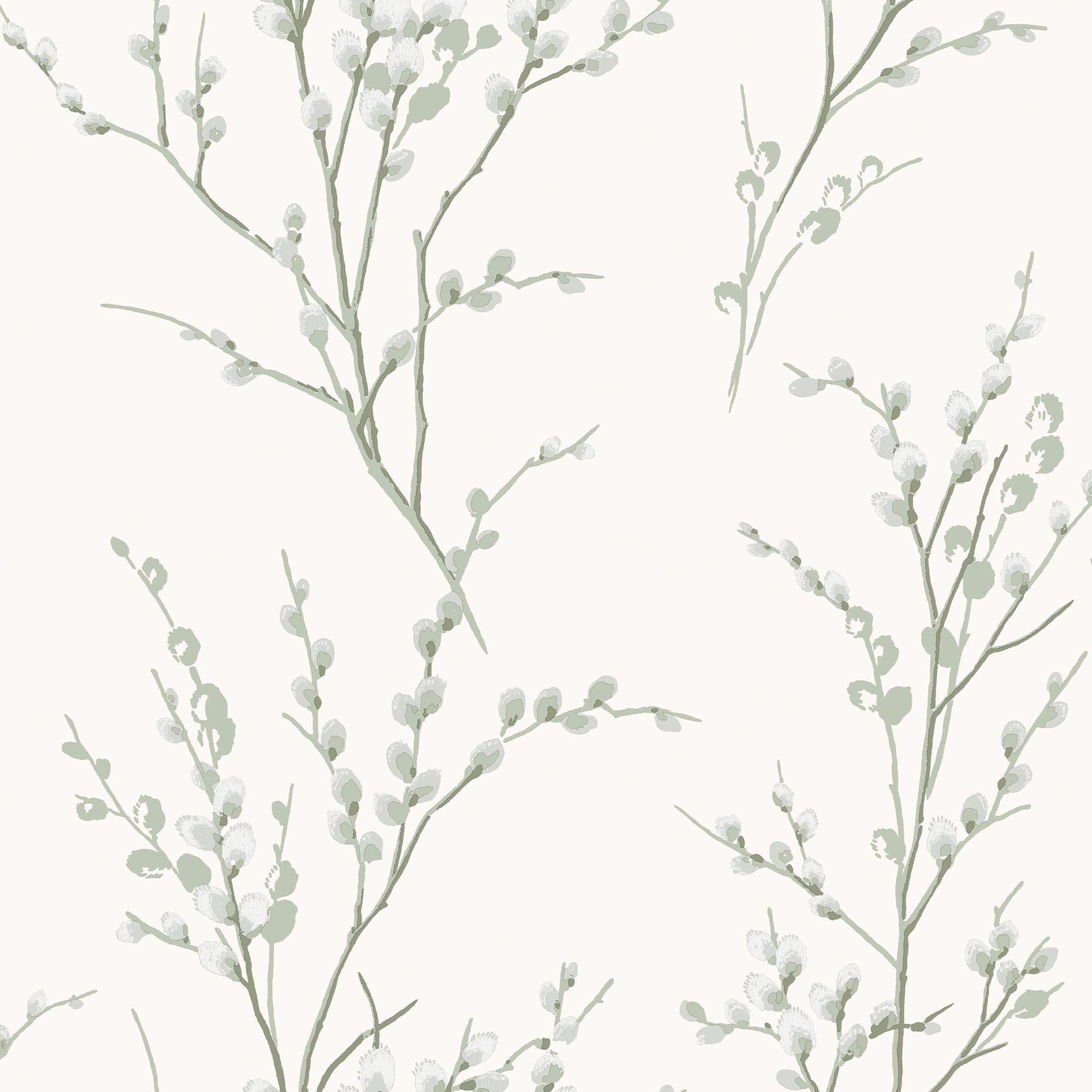 Green - Laura Ashley - Pussy Willow Sage Green Wallpaper - 5