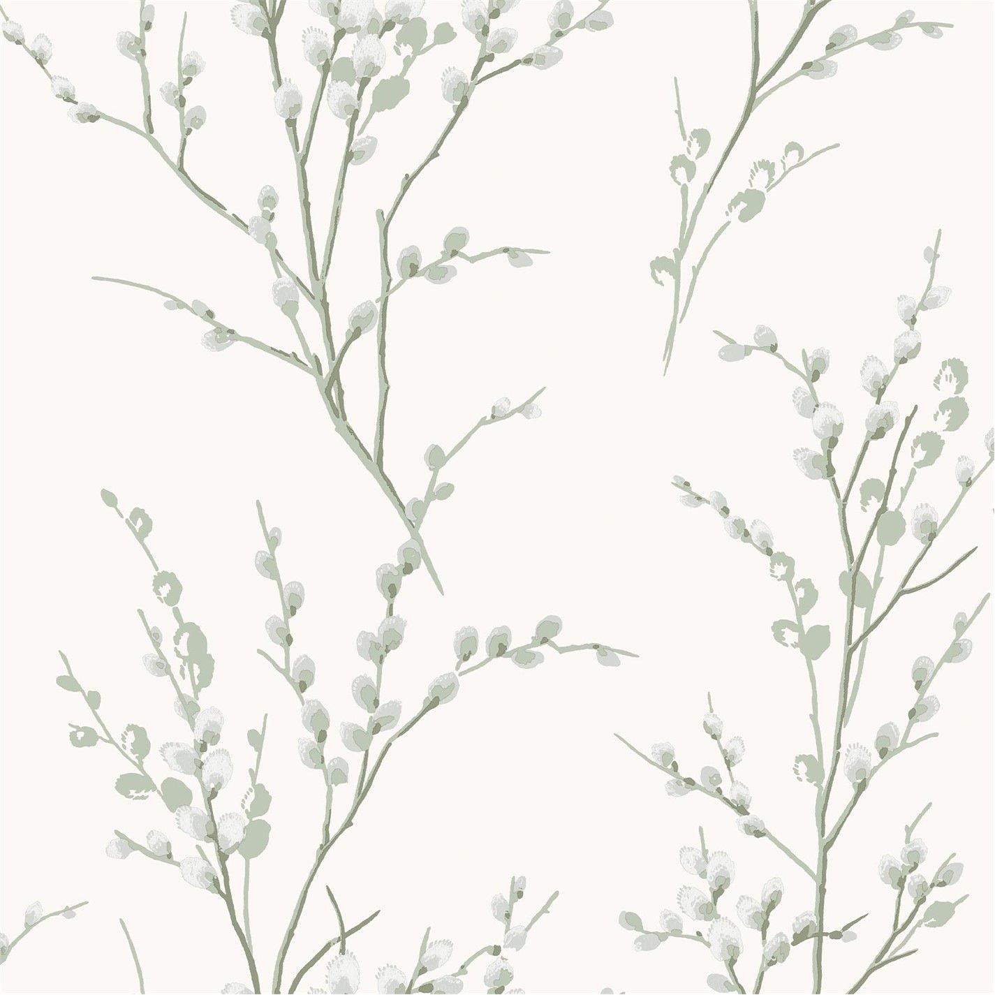 Green - Laura Ashley - Pussy Willow Sage Green Wallpaper - 4