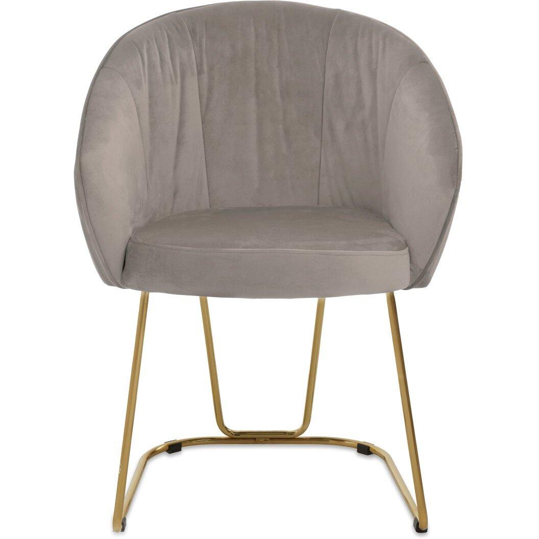 Brown - Interiors by Premier - Veneto Mink Velvet Dinner Chair - 1