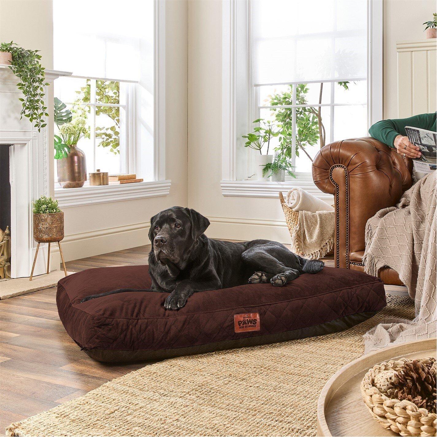 Chocolate Brown - Slumberdown - Paws for Slumber Padded Pet Bed Chocolate Brown - 1