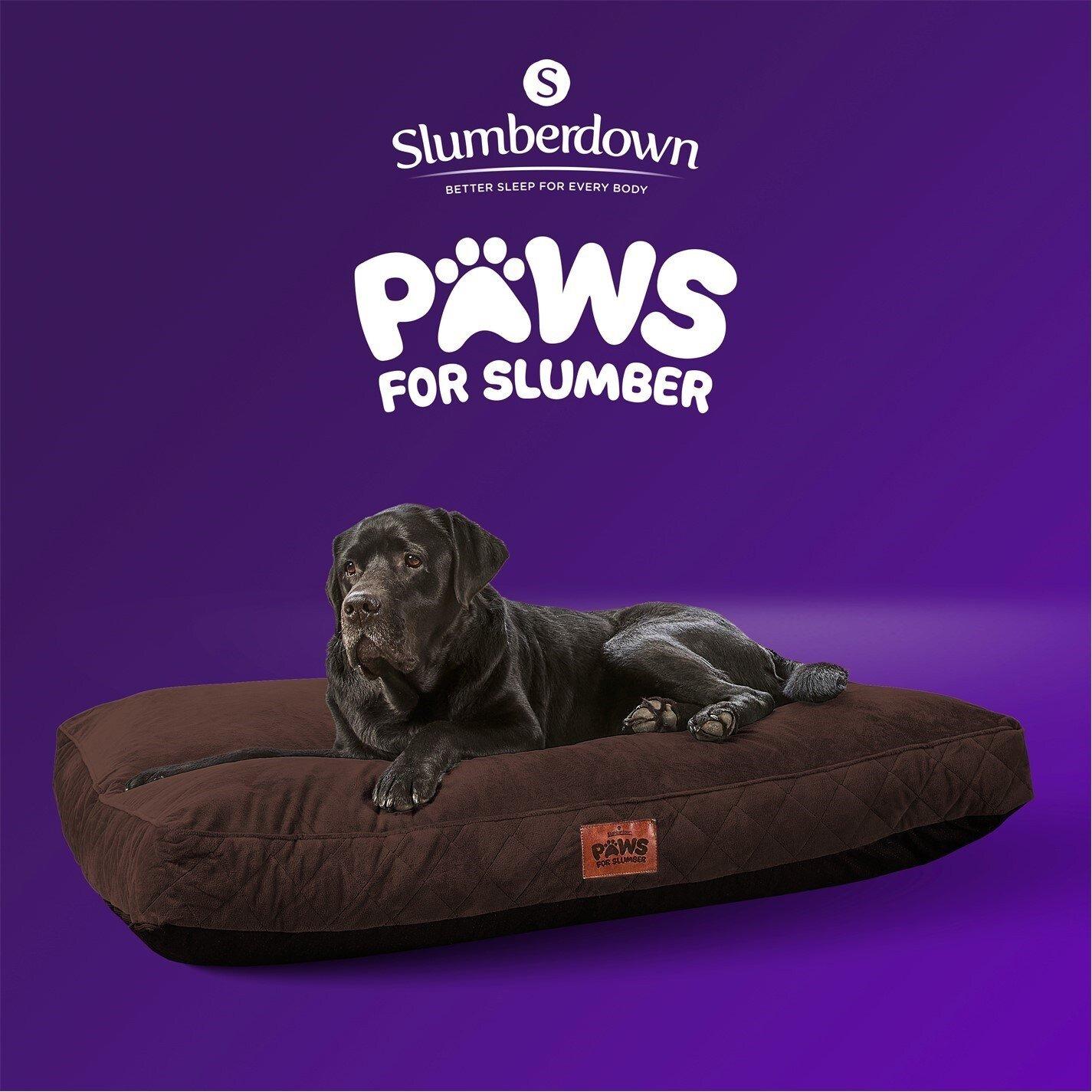 Chocolate Brown - Slumberdown - Paws for Slumber Padded Pet Bed Chocolate Brown - 11
