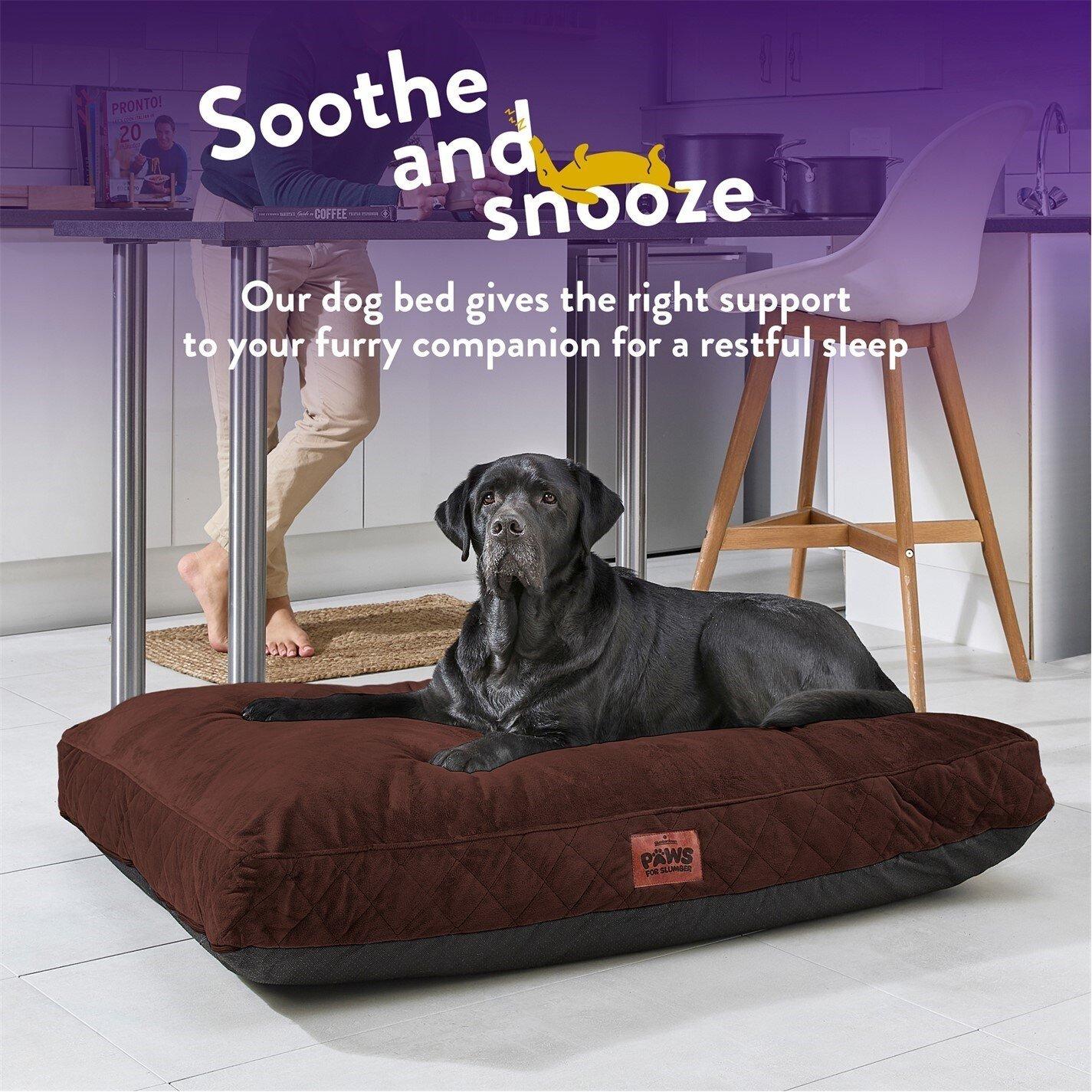 Chocolate Brown - Slumberdown - Paws for Slumber Padded Pet Bed Chocolate Brown - 4