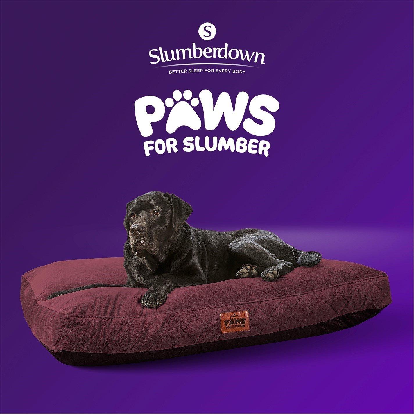 Burgundy - Slumberdown - Paws for Slumber Padded Pet Bed Burgundy - 11