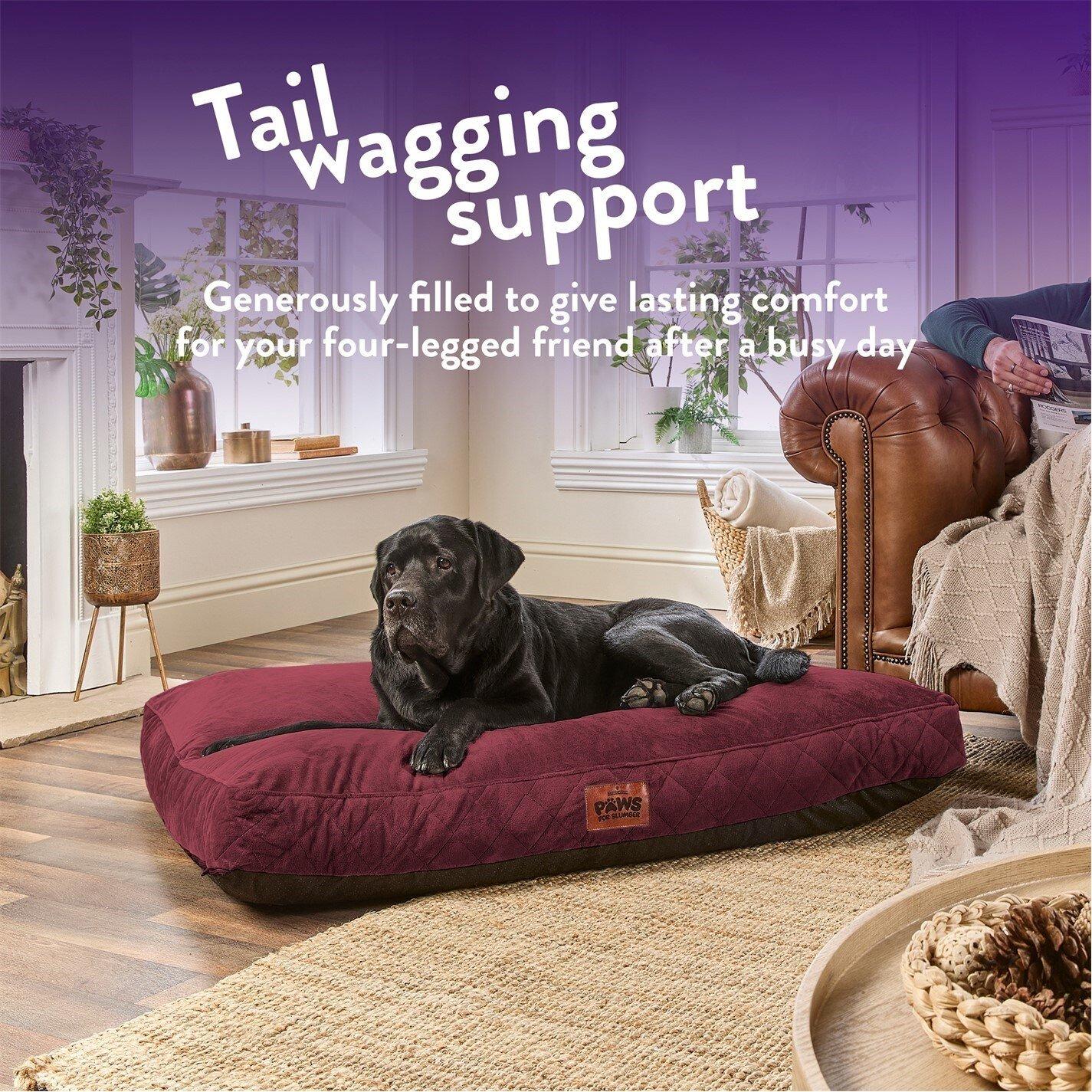 Burgundy - Slumberdown - Paws for Slumber Padded Pet Bed Burgundy - 3