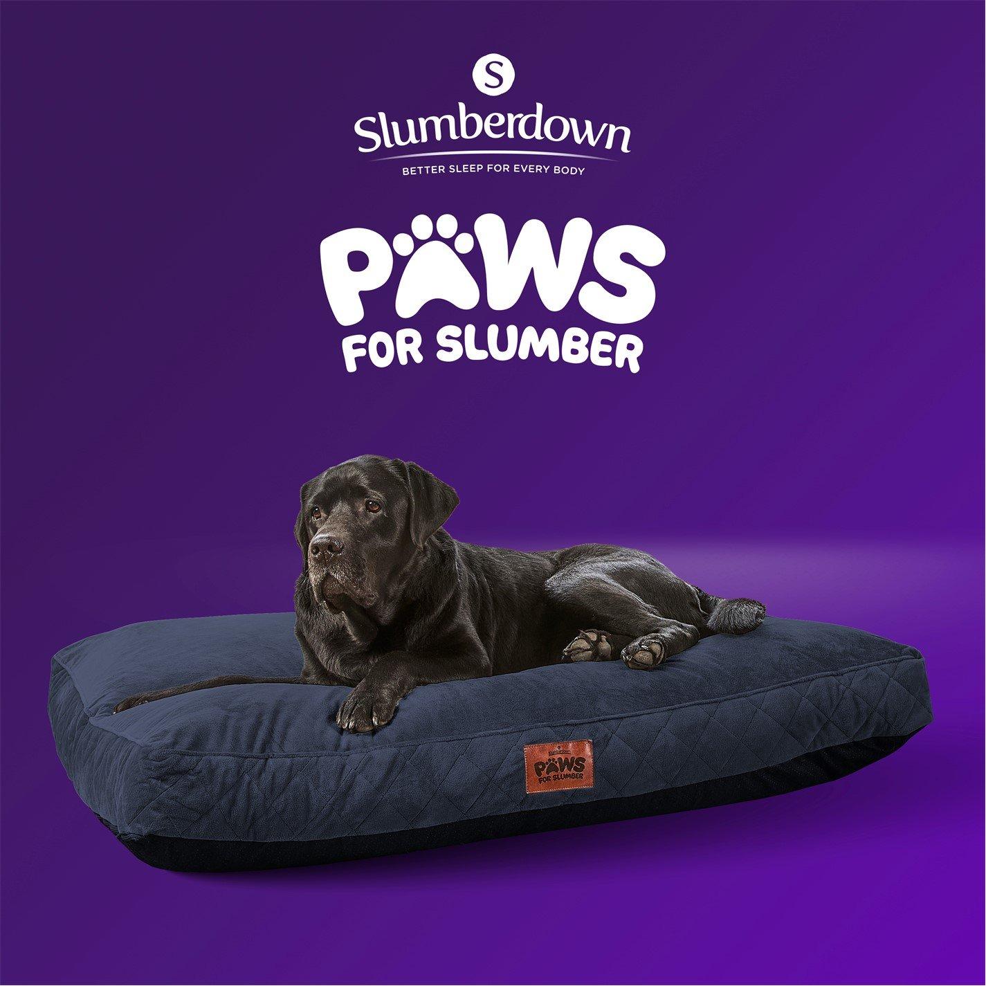 Blue - Slumberdown - Paws for Slumber Padded Pet Bed Blue - 12