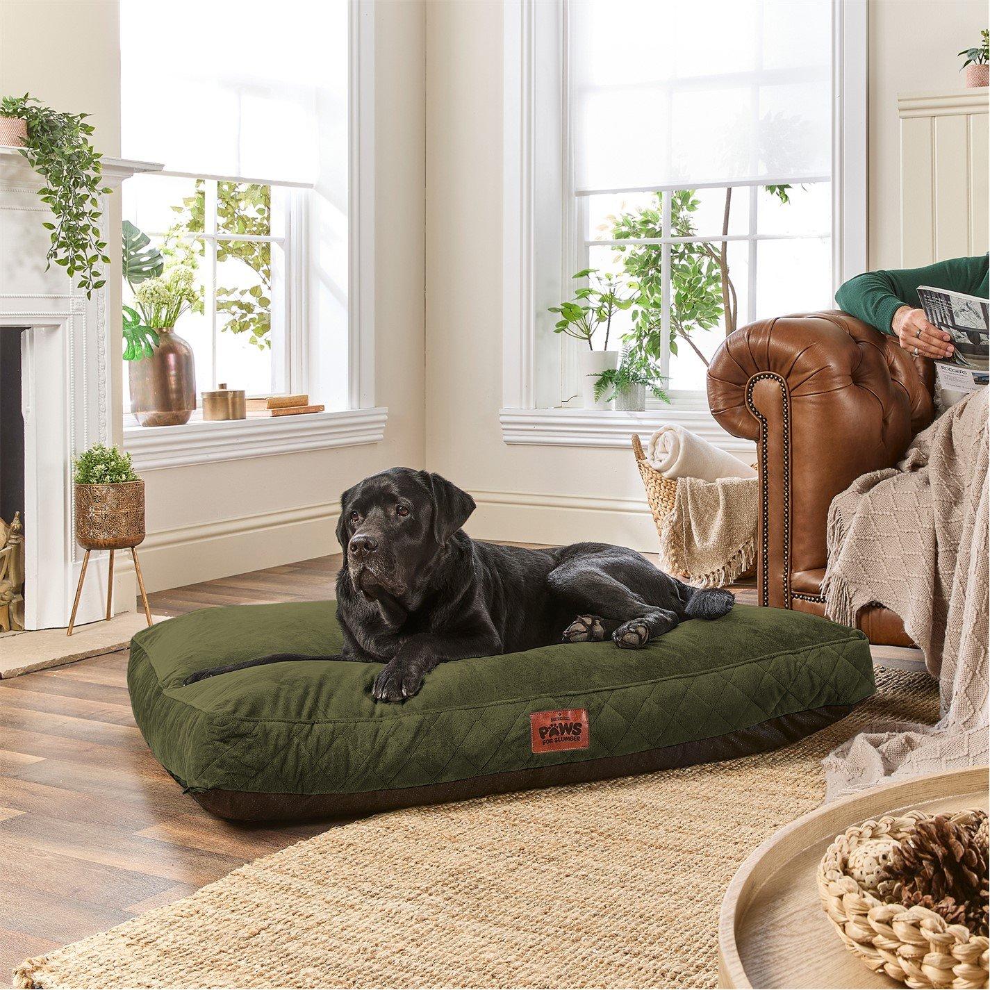 Green - Slumberdown - Paws for Slumber Padded Pet Bed Green - 3
