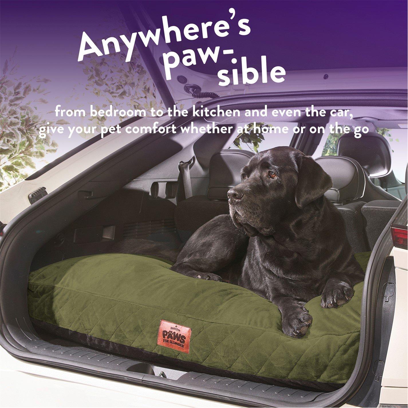 Green - Slumberdown - Paws for Slumber Padded Pet Bed Green - 8