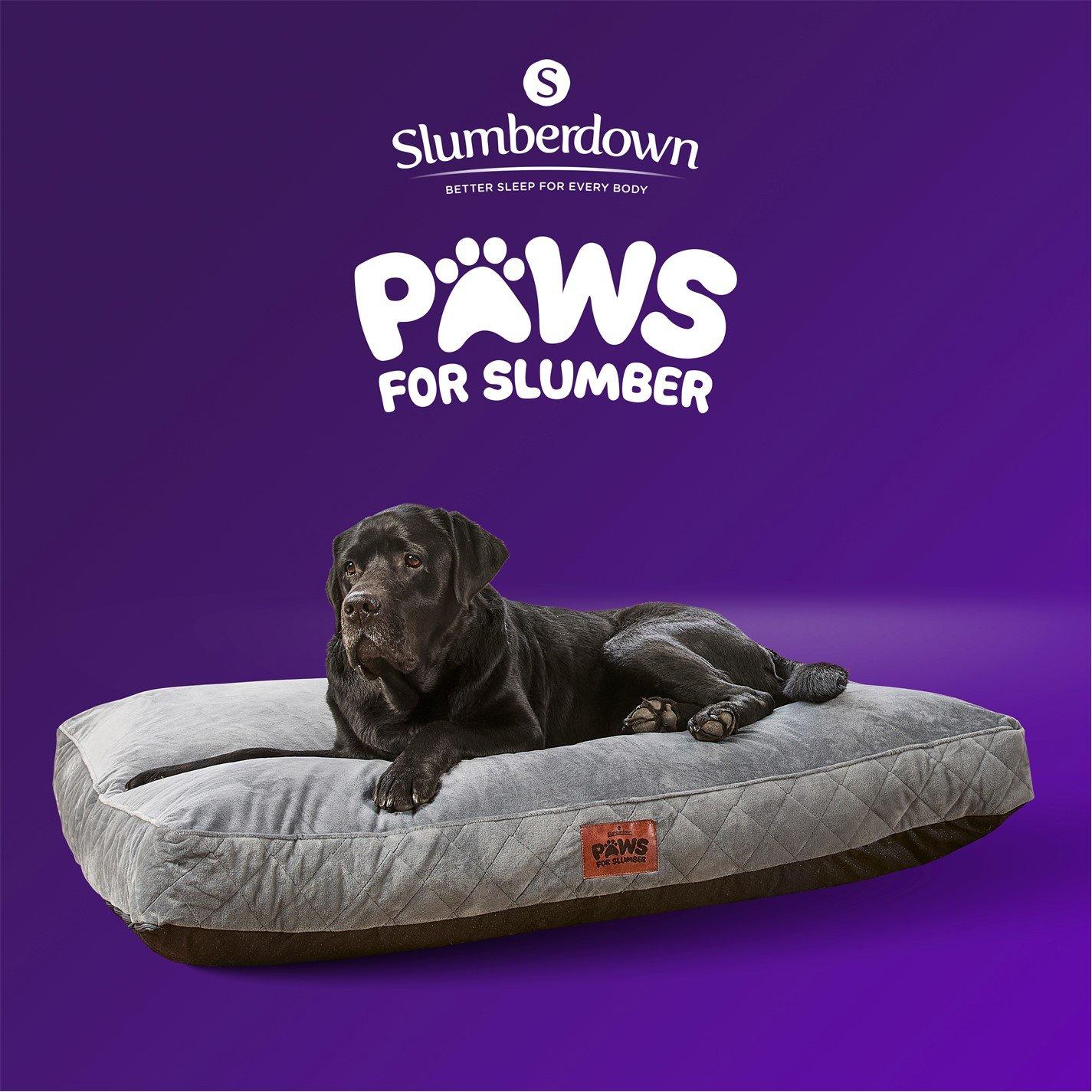 Grey - Slumberdown - Paws for Slumber Padded Pet Bed Grey - 11