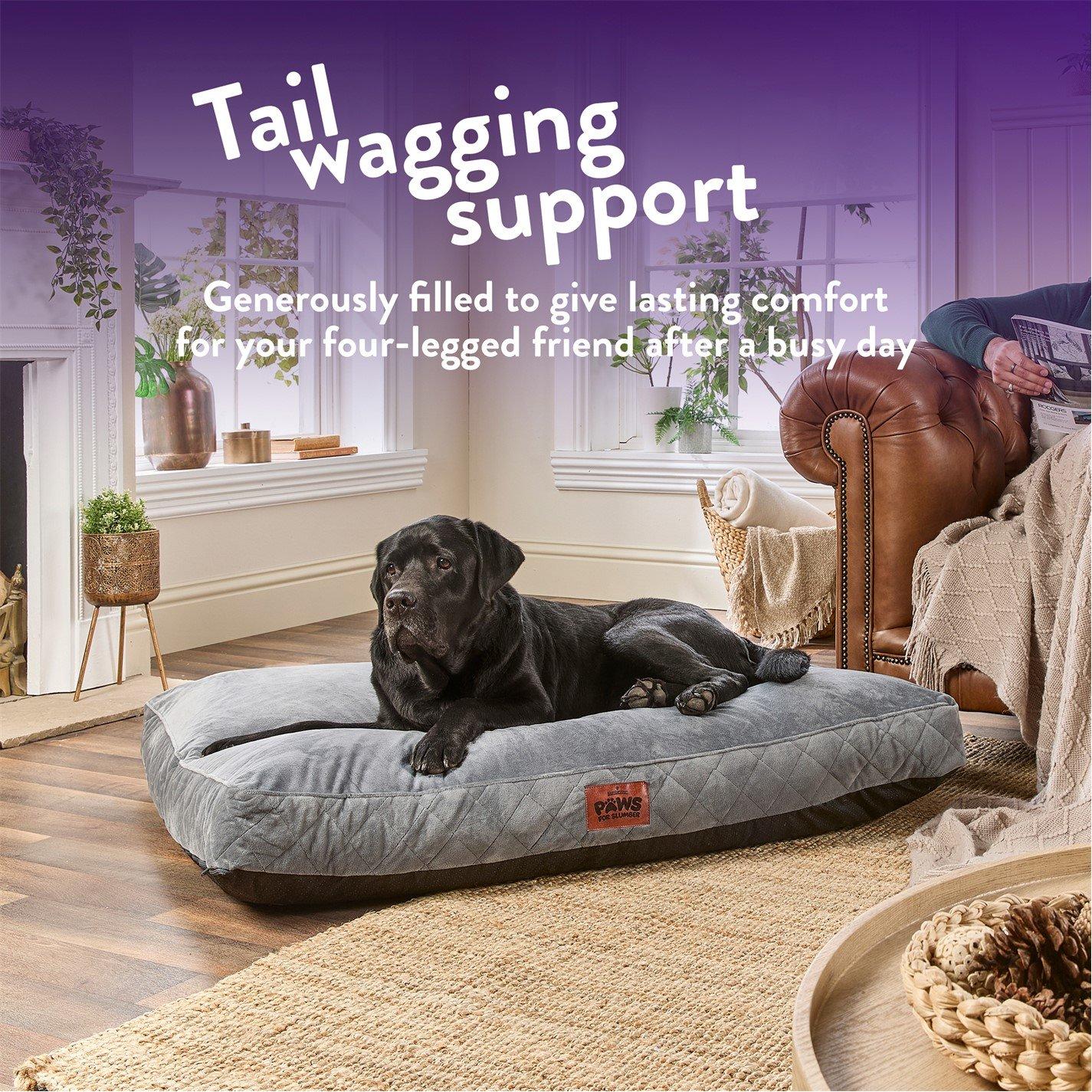 Grey - Slumberdown - Paws for Slumber Padded Pet Bed Grey - 3