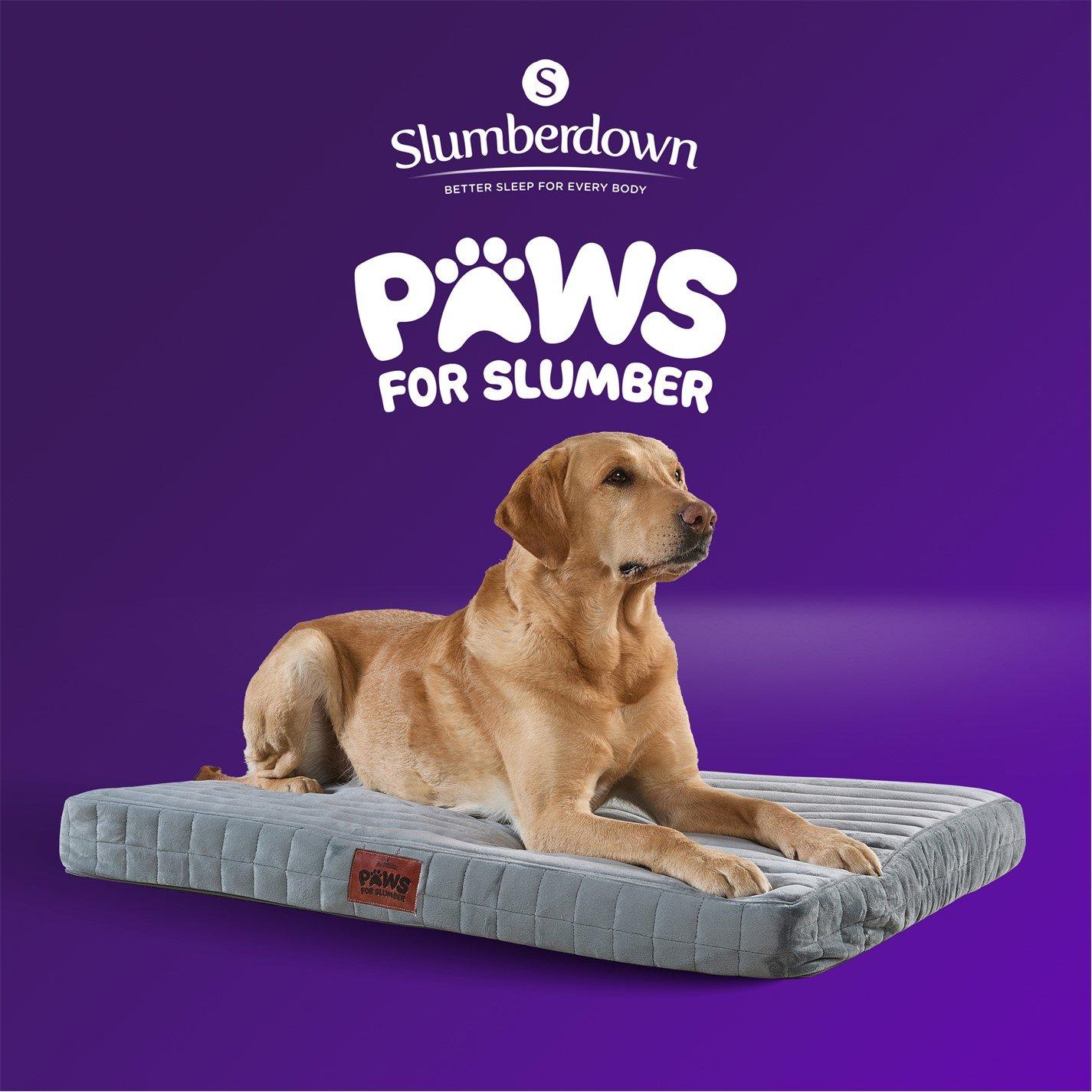 Grey - Slumberdown - Orthopaedic Pet Bed Grey - 11
