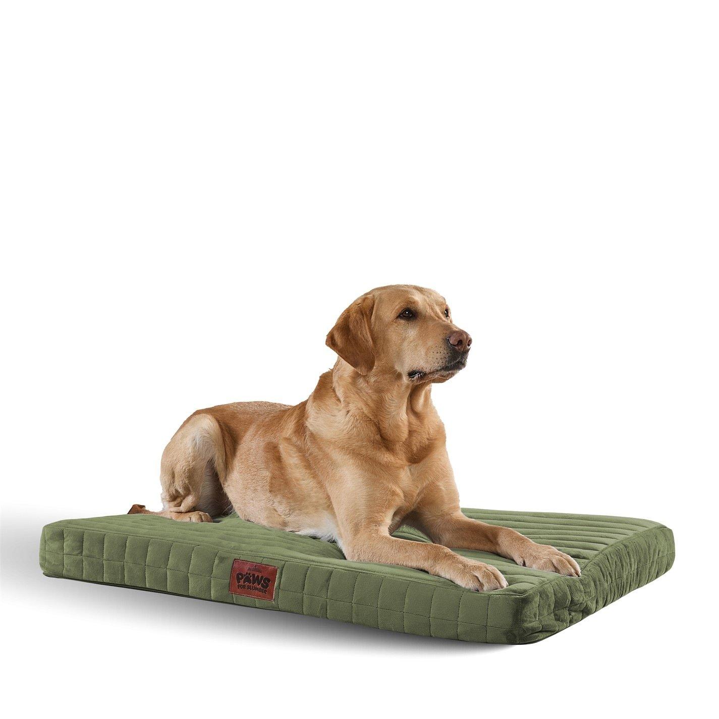 Slumberdown  Orthopaedic Pet Bed Green - Medium