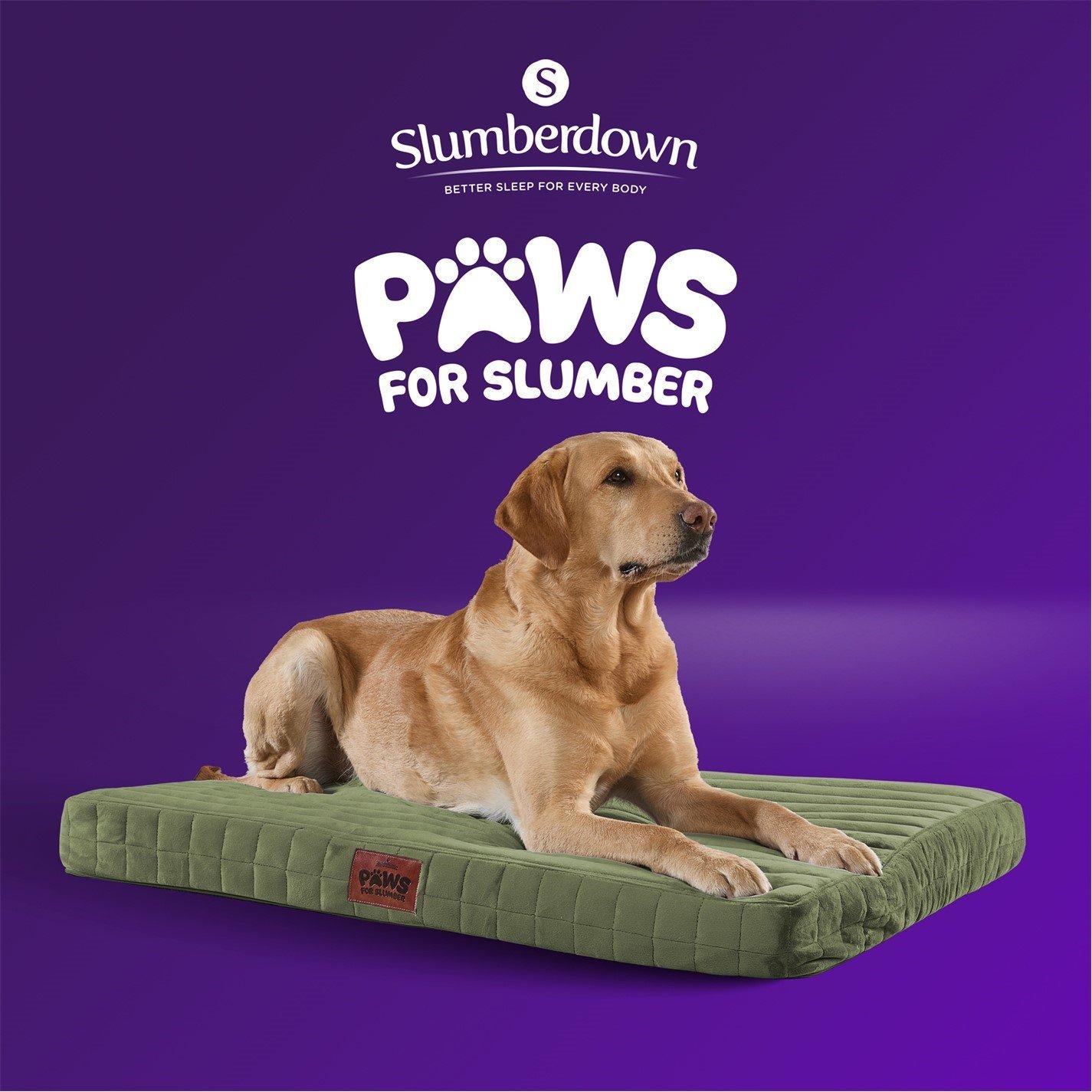 Green - Slumberdown - Orthopaedic Pet Bed Green - 11
