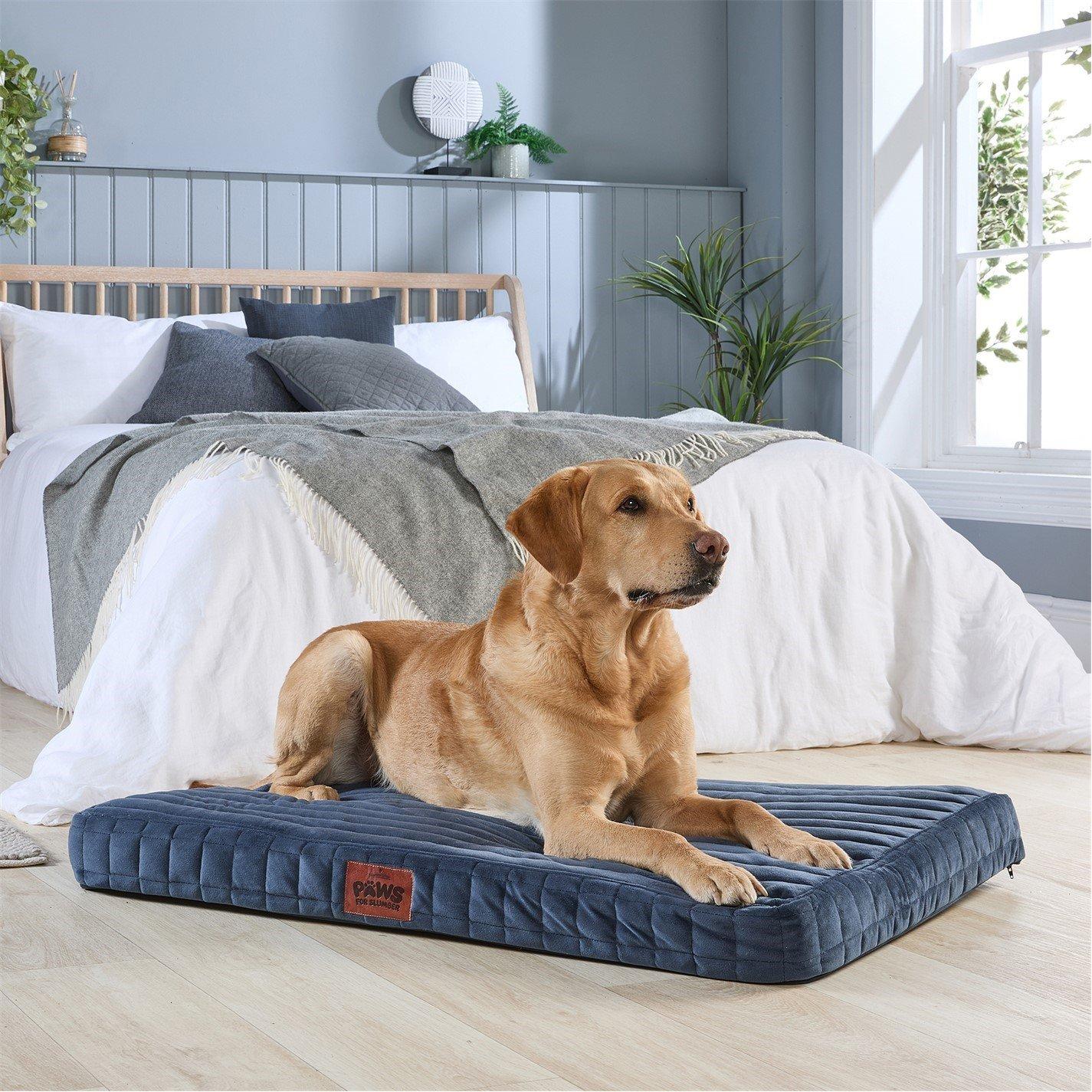 Slumberdown  Orthopaedic Pet Bed Navy - Small