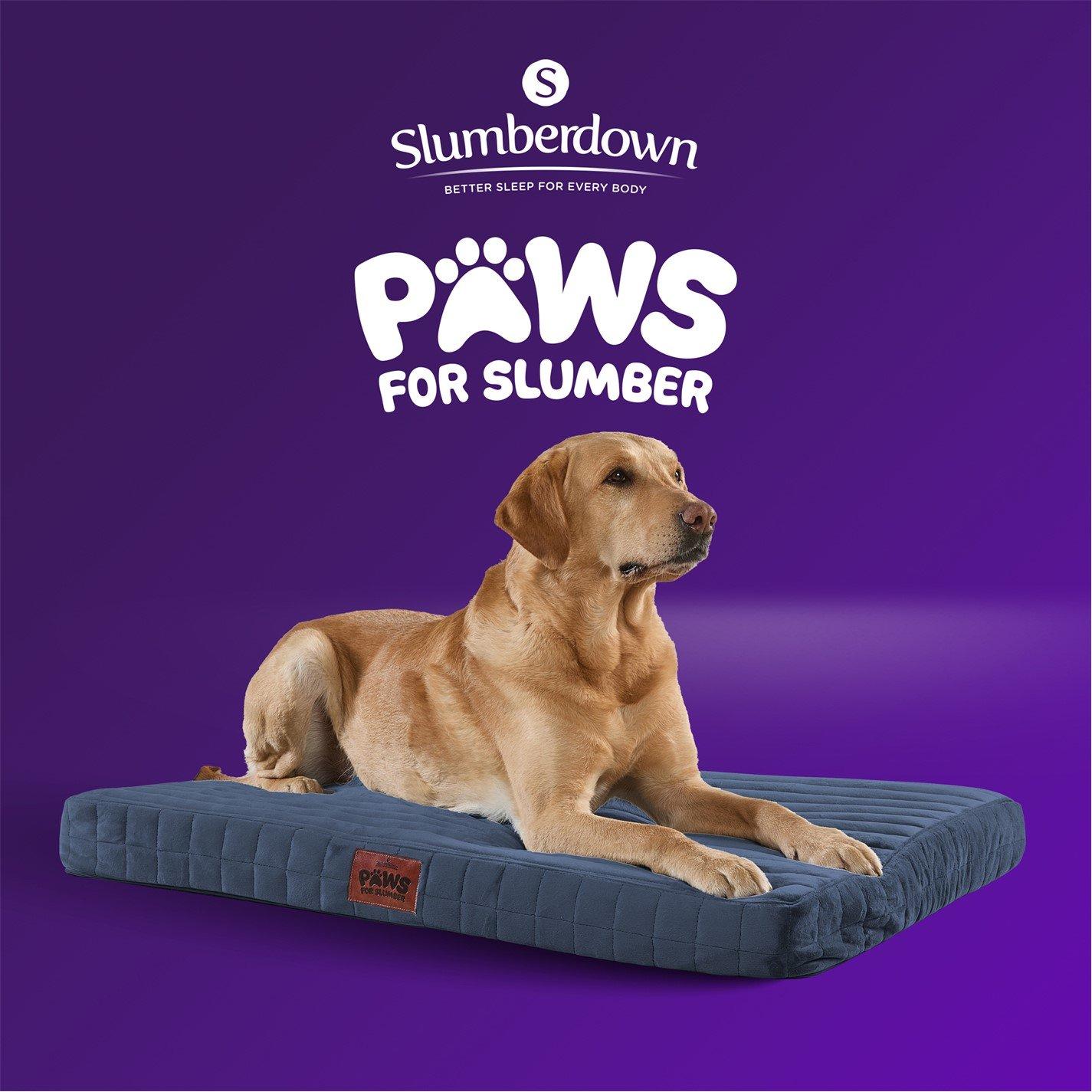 Navy - Slumberdown - Orthopaedic Pet Bed Navy - 11