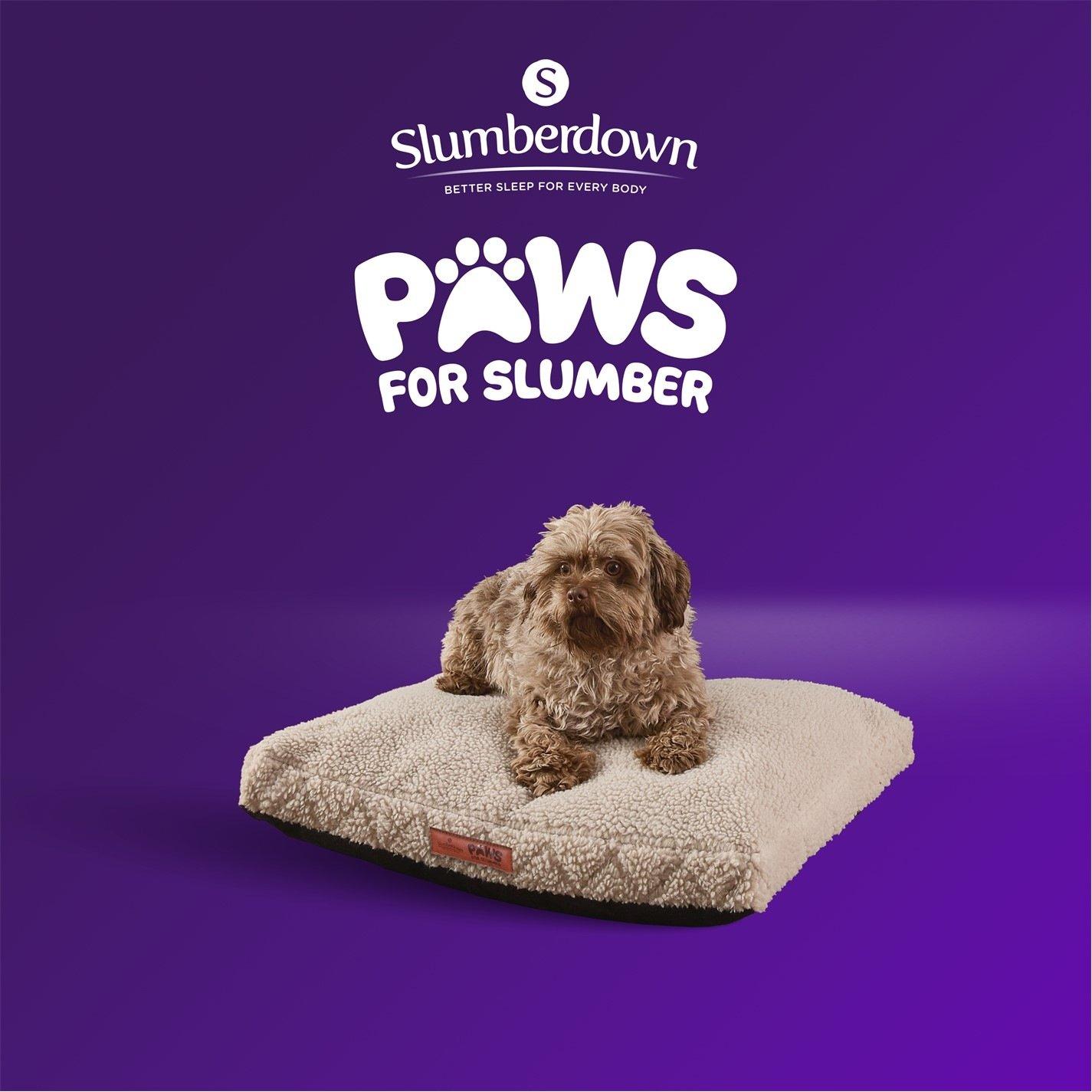 Biscuit - Slumberdown - Paws for Slumber Sherpa Pet Bed Biscuit - 13