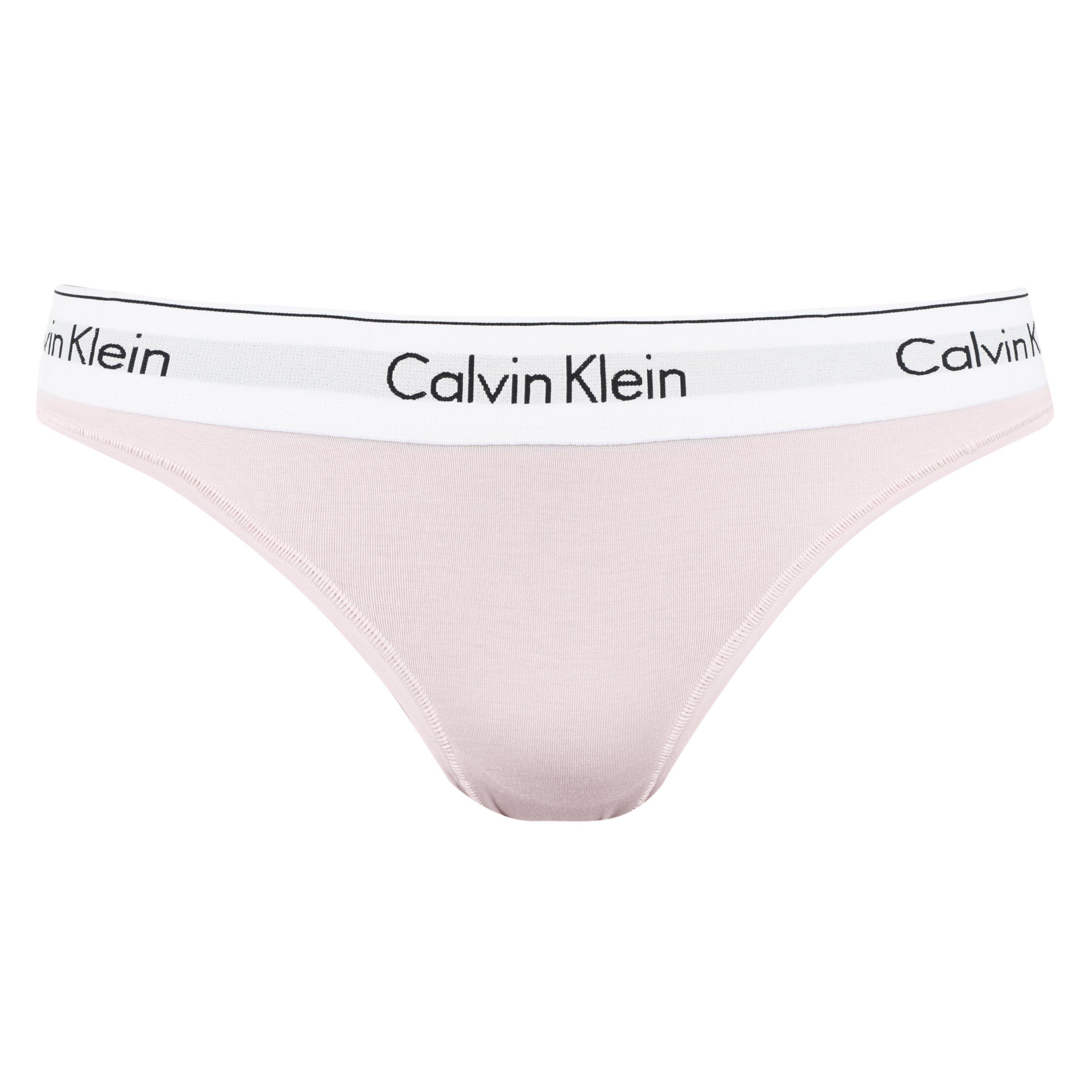 Calvin Klein Women's Modern Cotton Brief - Nymphs Thigh2nt - 14 (L)