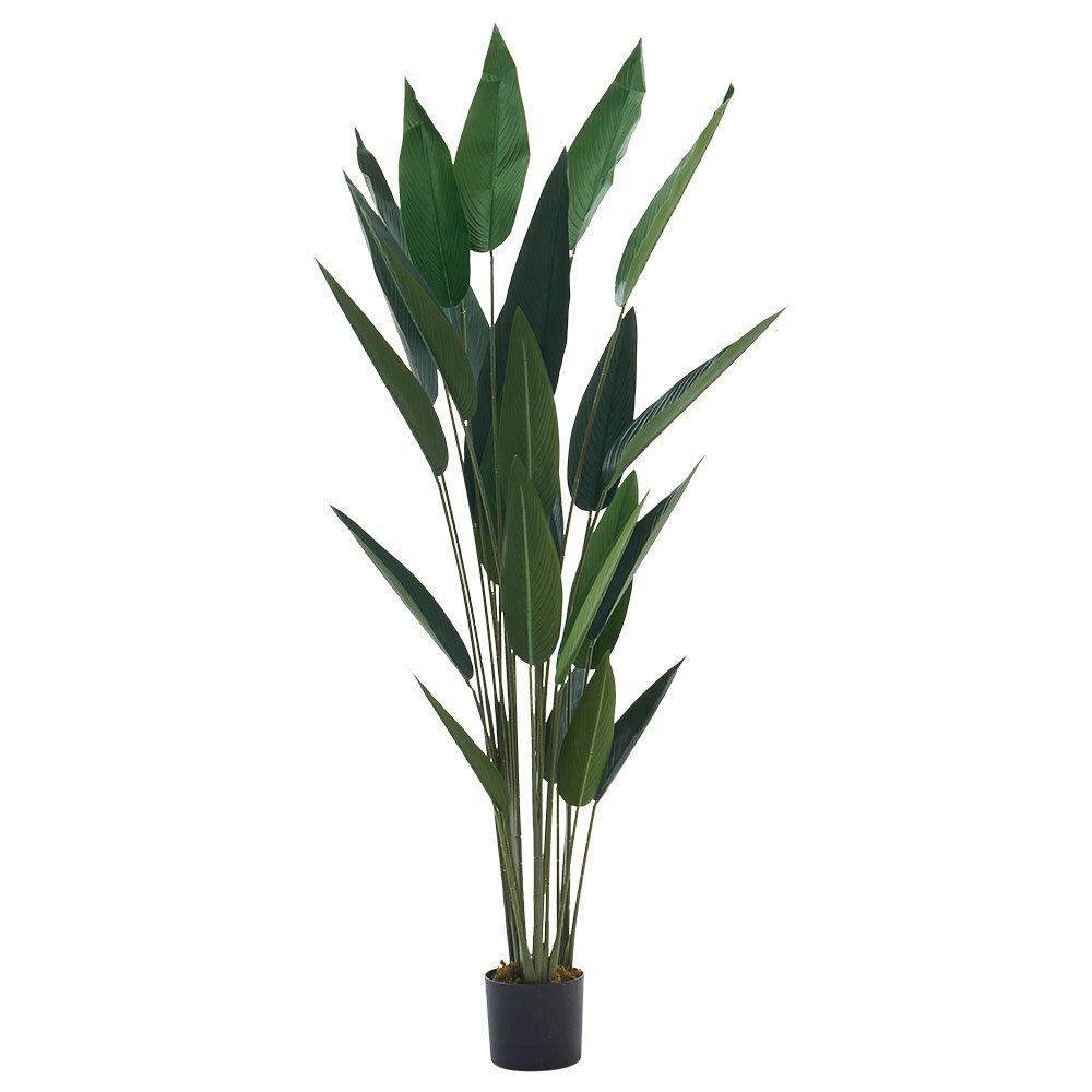 Green Black - LIFE IDEAS - Artificial Bird of Paradise Plant Tropical Tree - 4