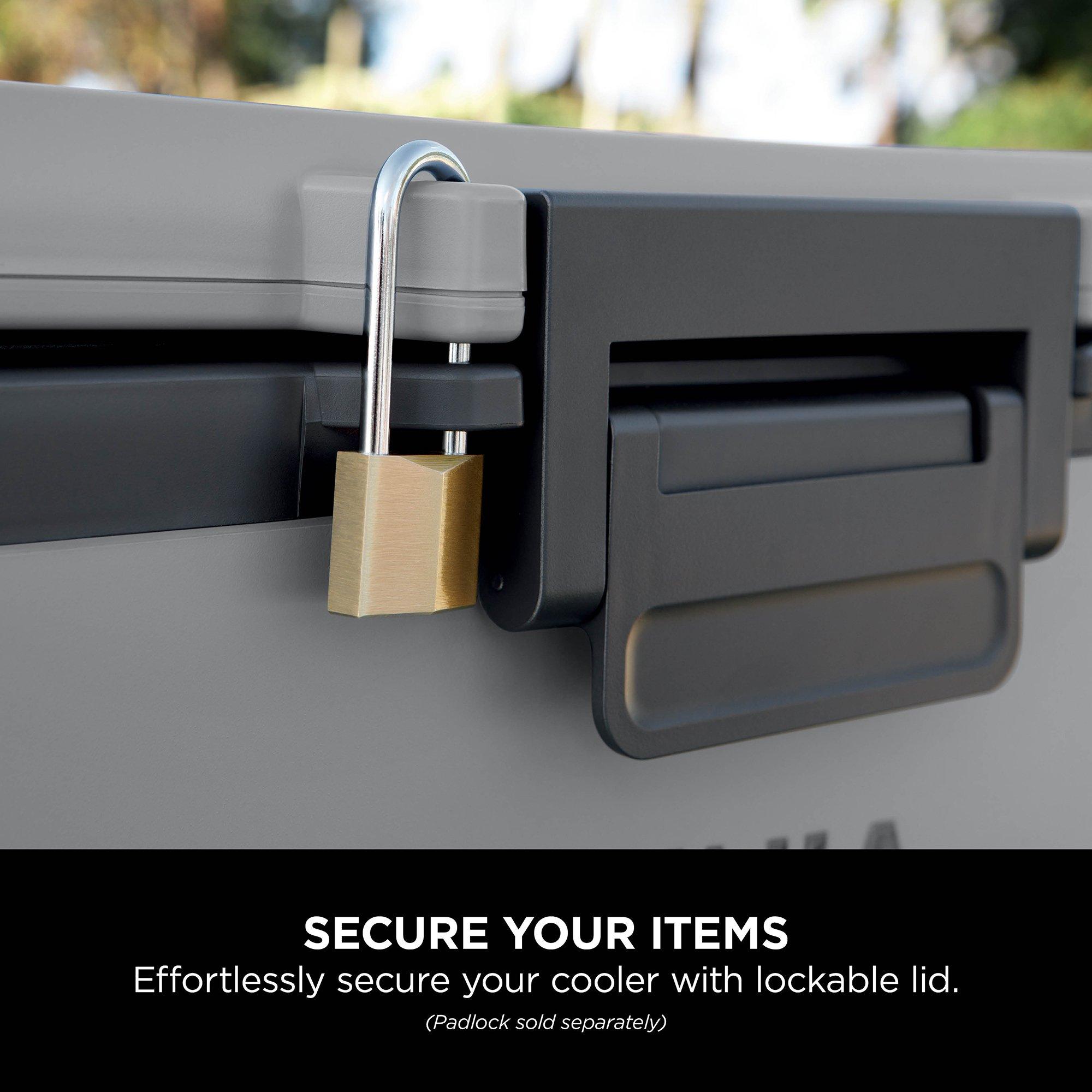 Grey - Ninja - FrostVault 50QT/47L Hard Cooler with Dry Zone - 8