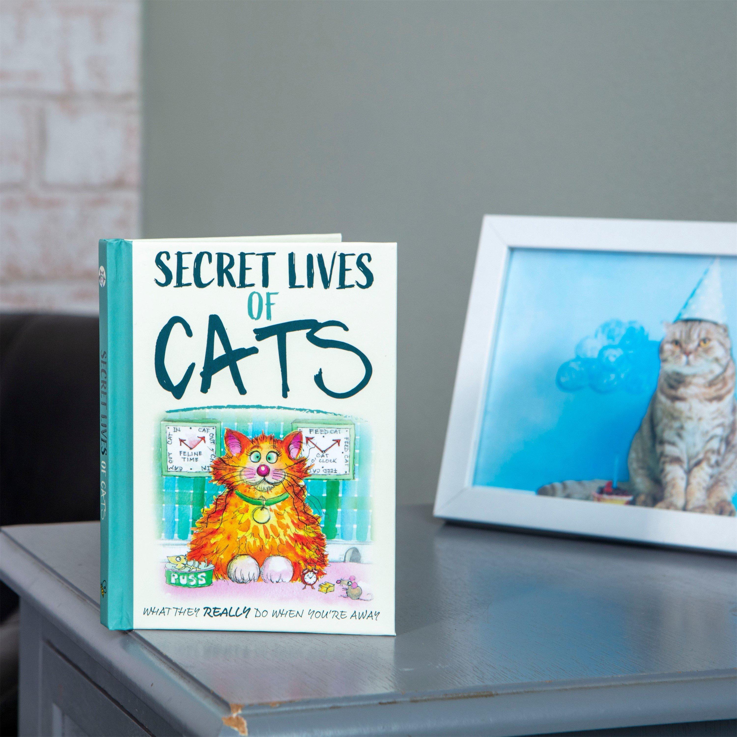 Multi - Boxer Gifts - The Secret Lives Of Cats: Gift Book For Cat Lovers - 2
